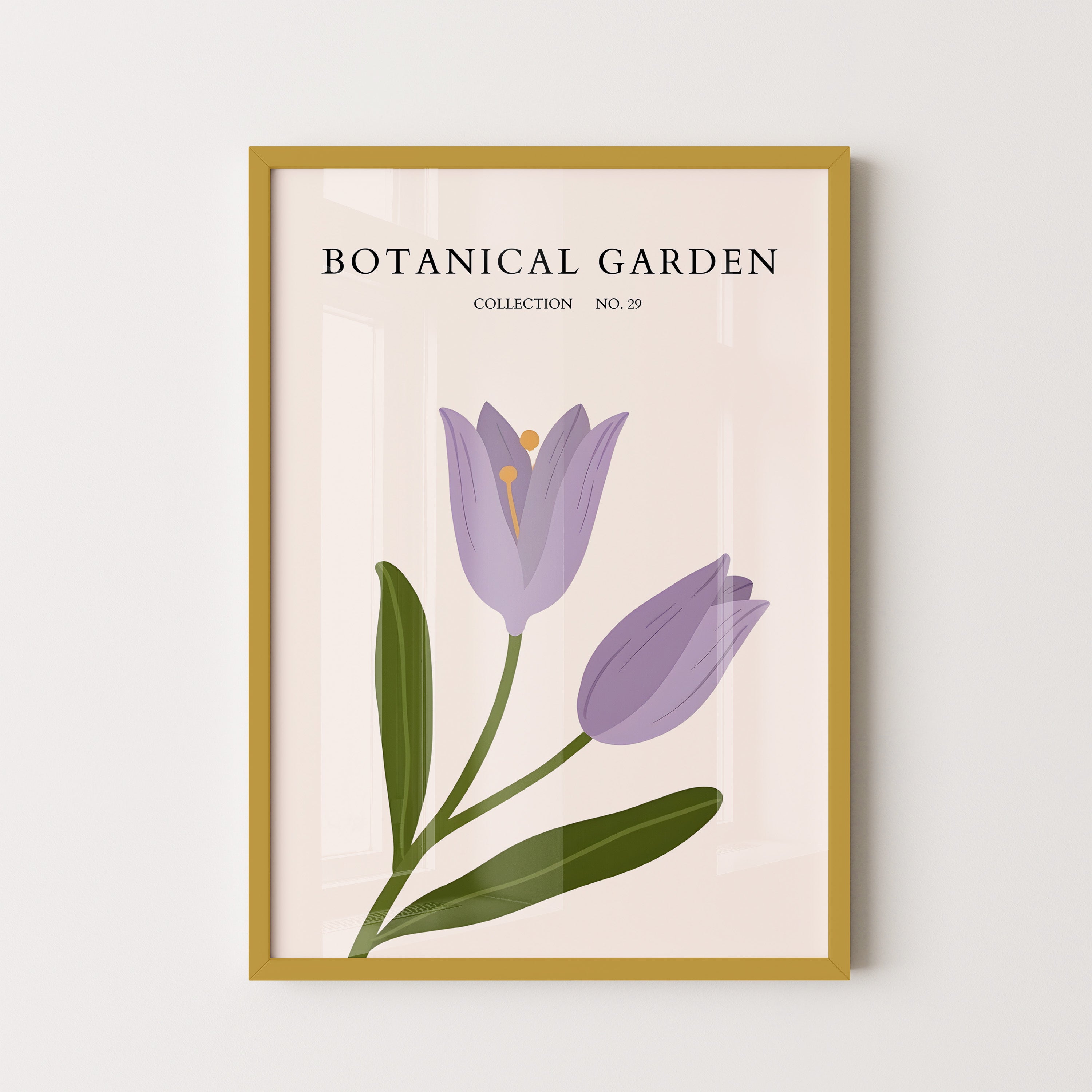 Botanical Garden Lavender Tulip Minimal