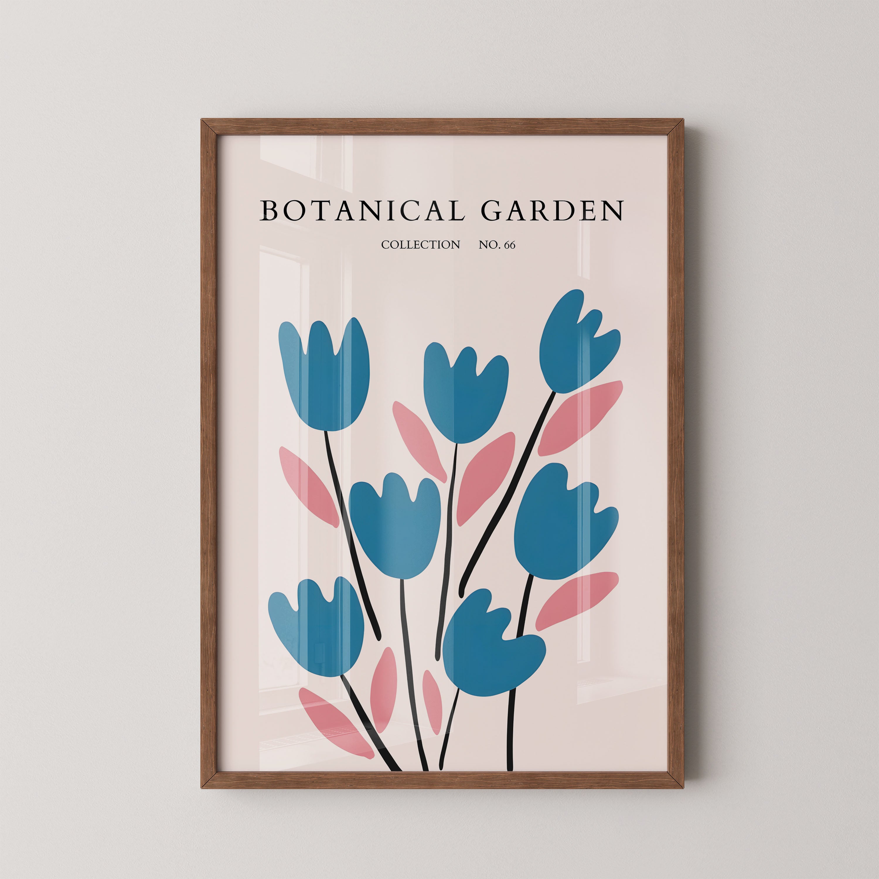 No Borderrdic Tulip Rhythm