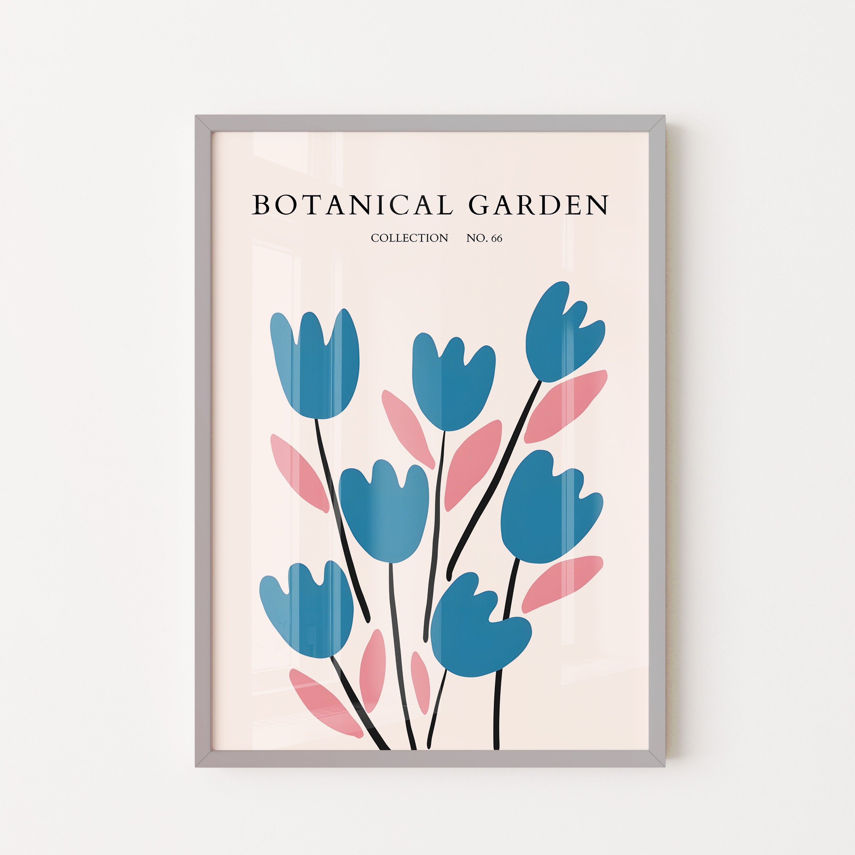 No Borderrdic Tulip Rhythm