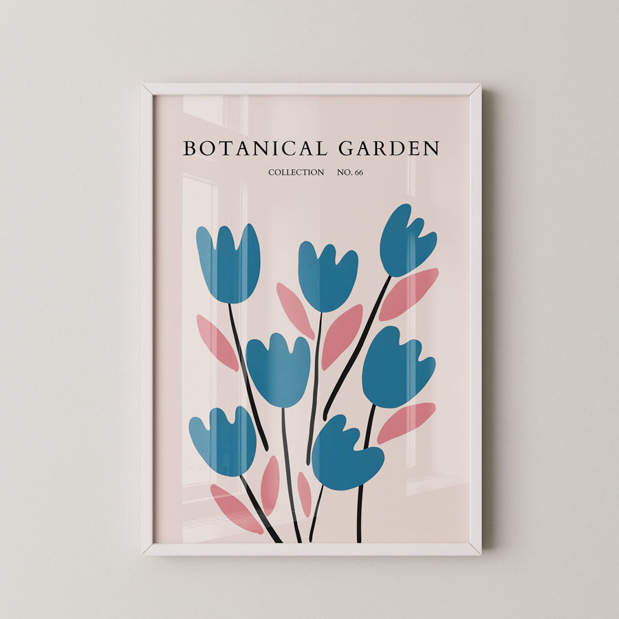 No Borderrdic Tulip Rhythm