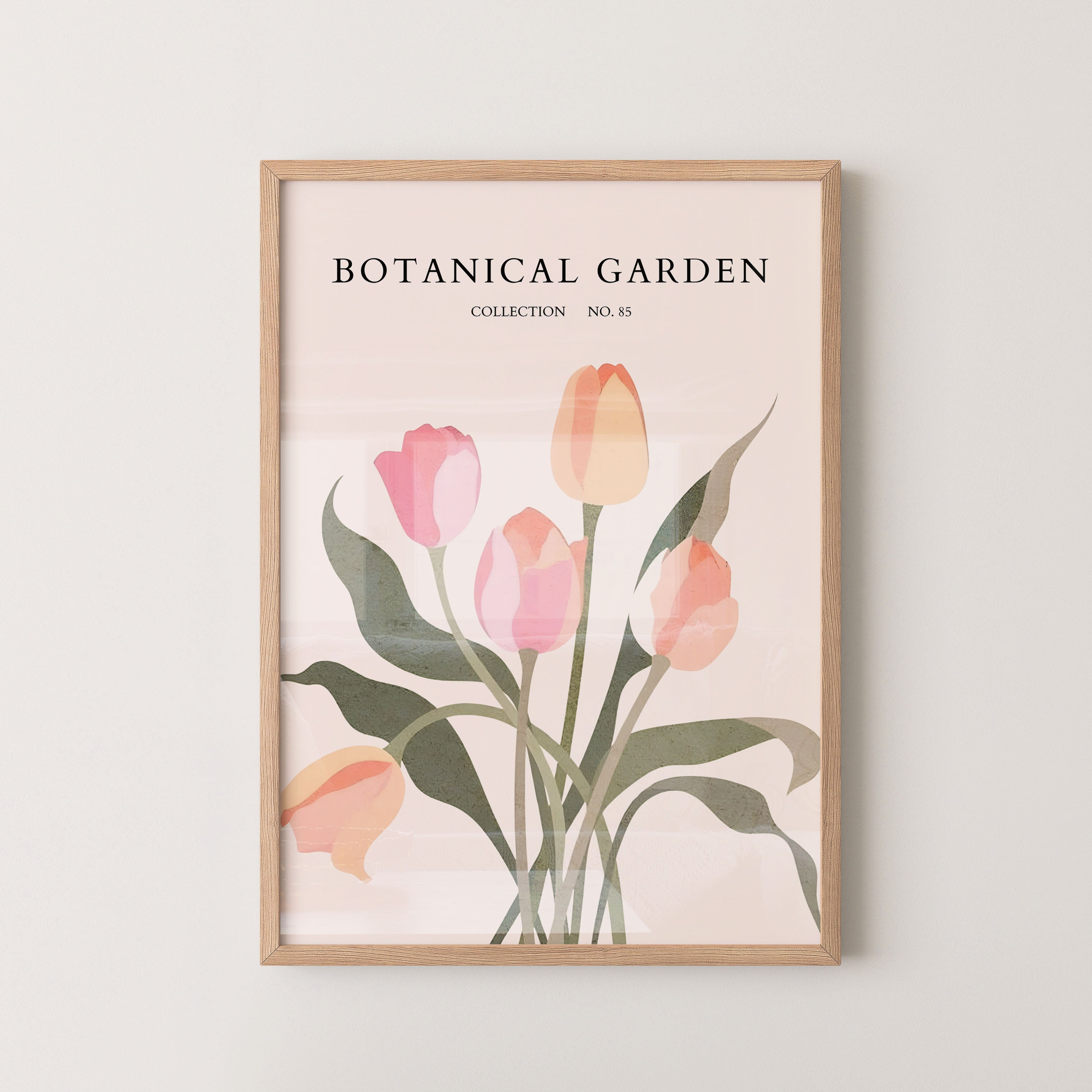 Soft Tulip Bloom