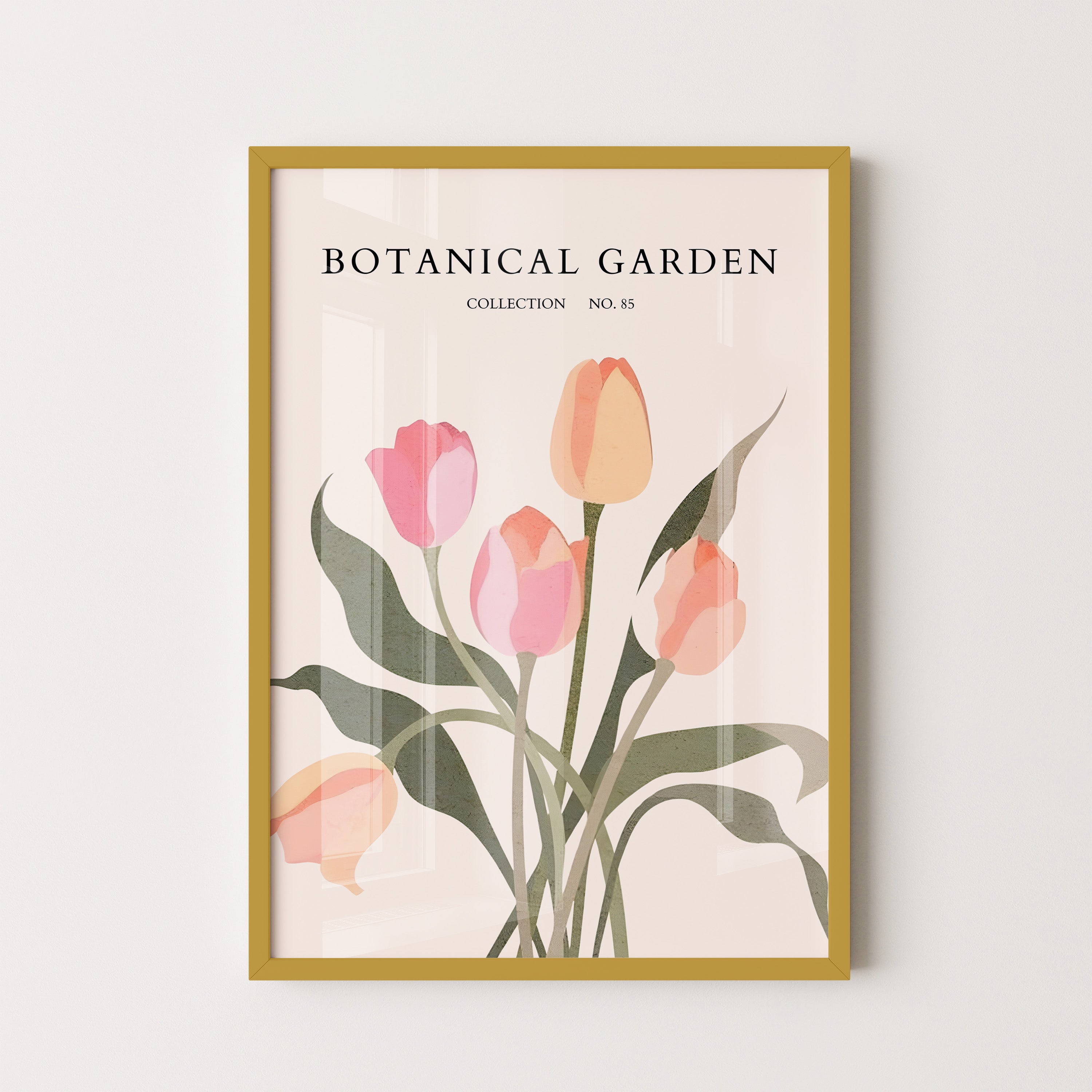 Soft Tulip Bloom