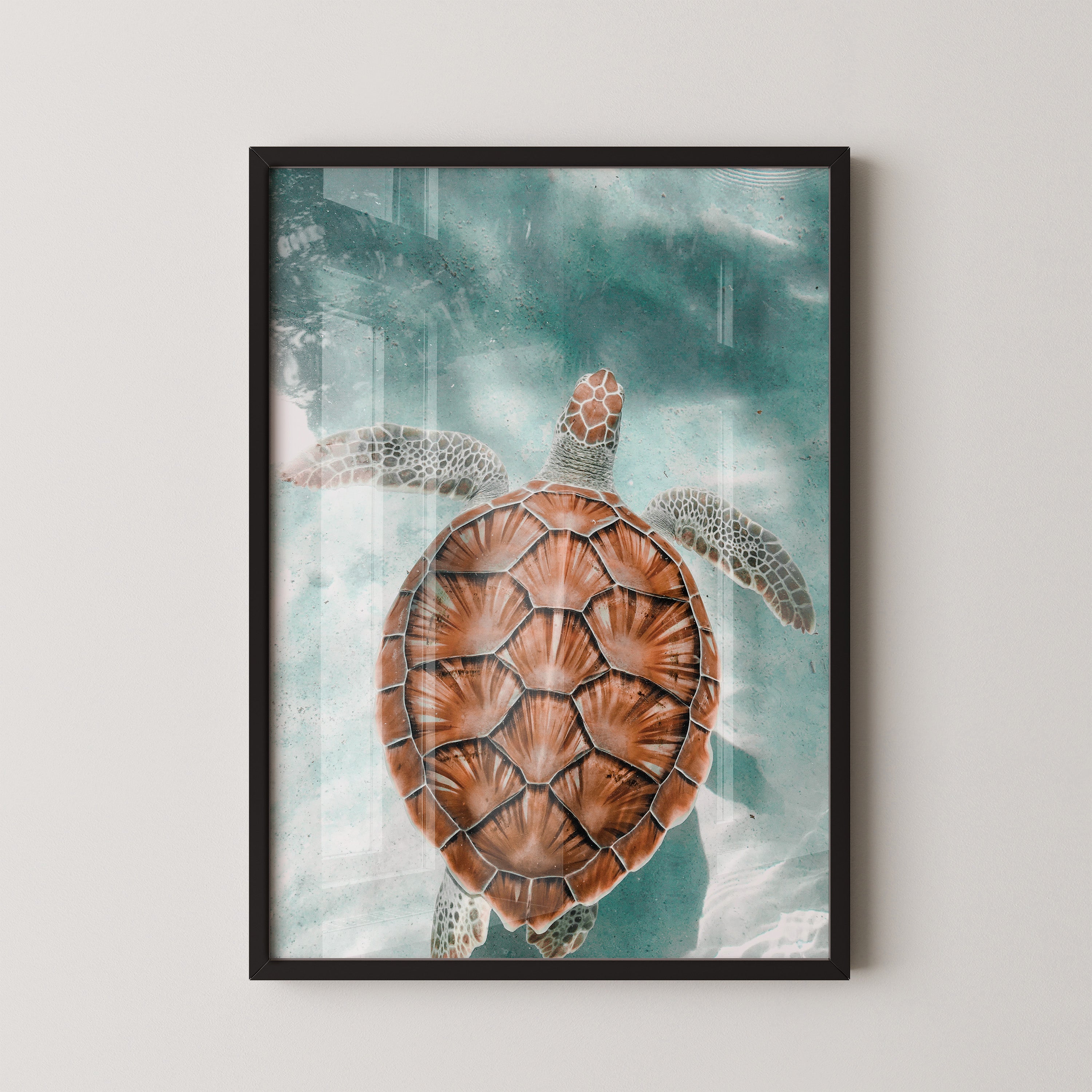 Sea Turtle in Turquoise Waters