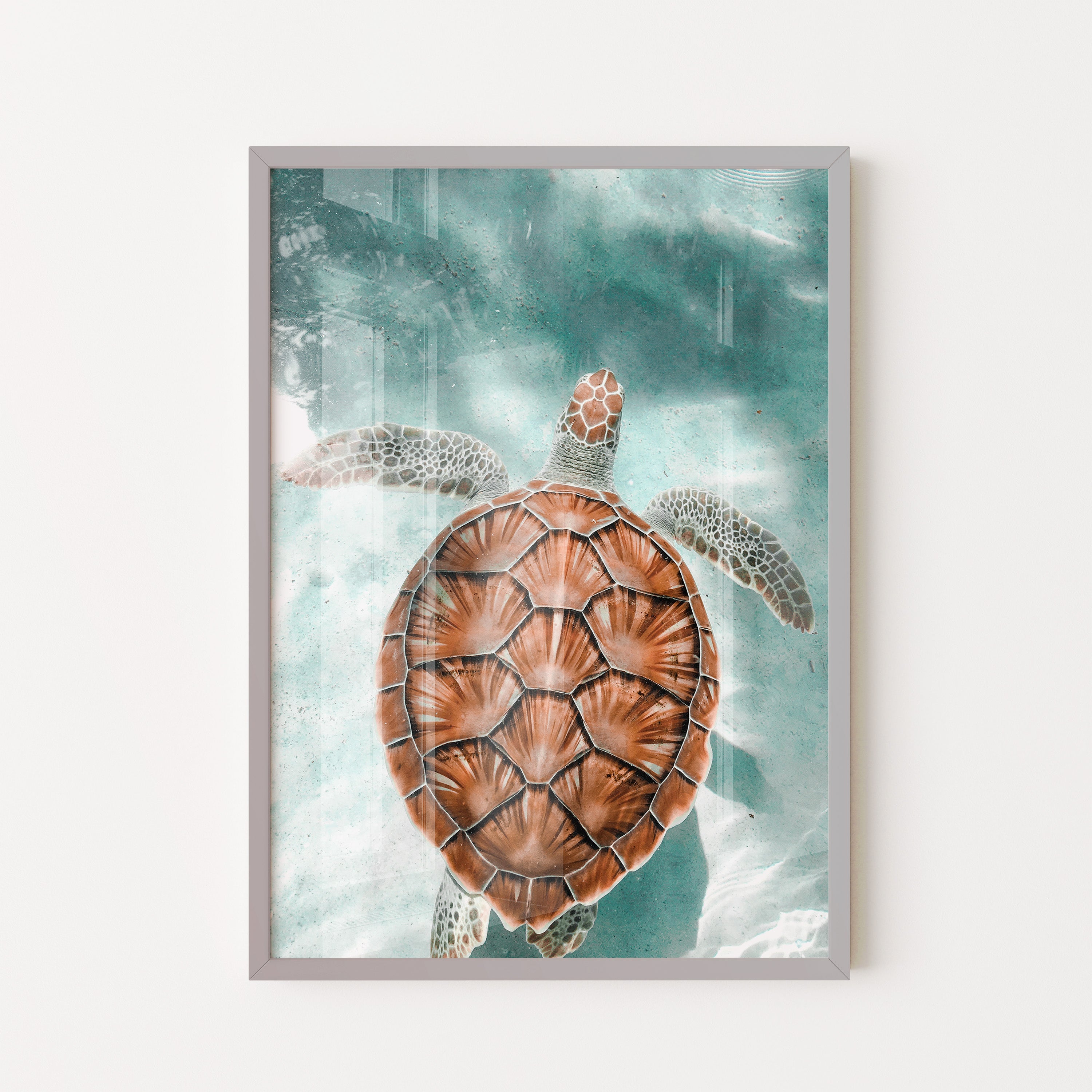 Sea Turtle in Turquoise Waters