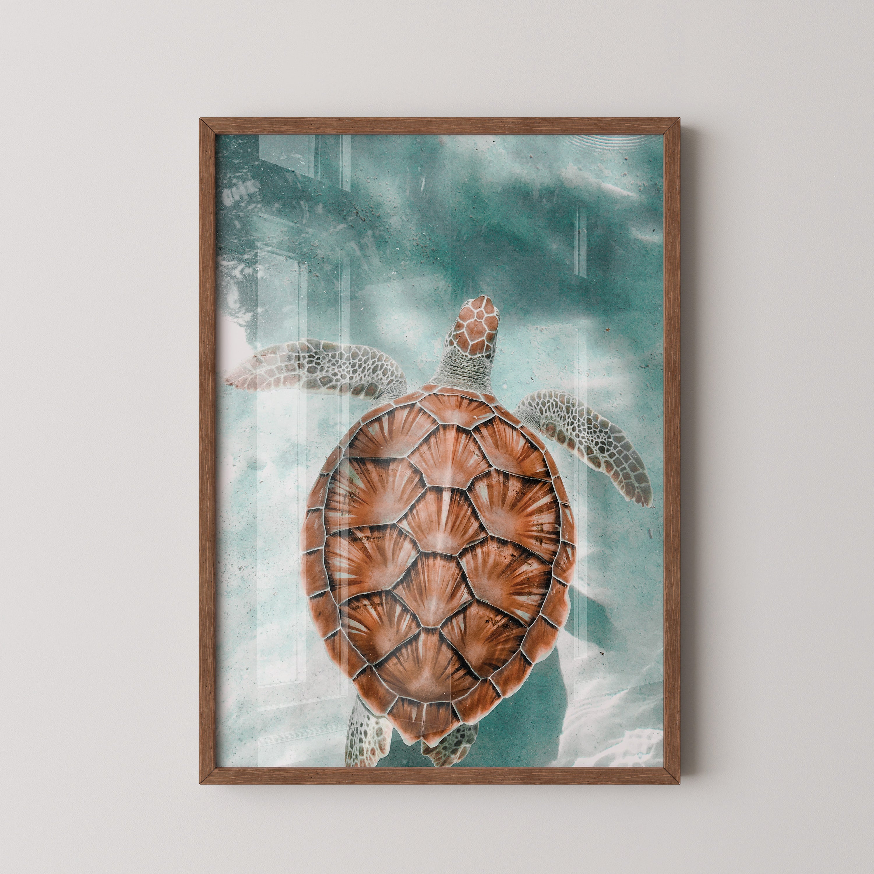 Sea Turtle in Turquoise Waters