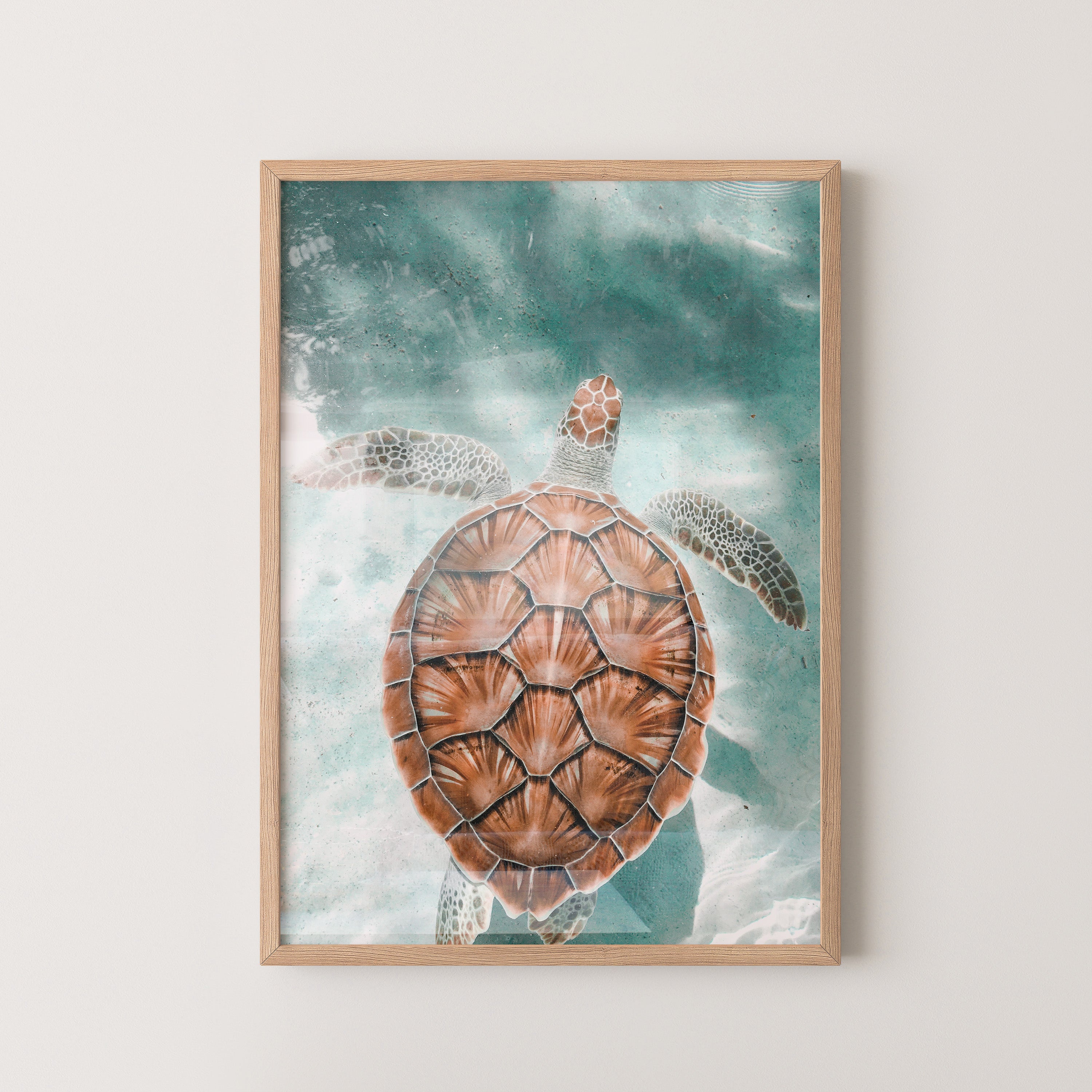 Sea Turtle in Turquoise Waters