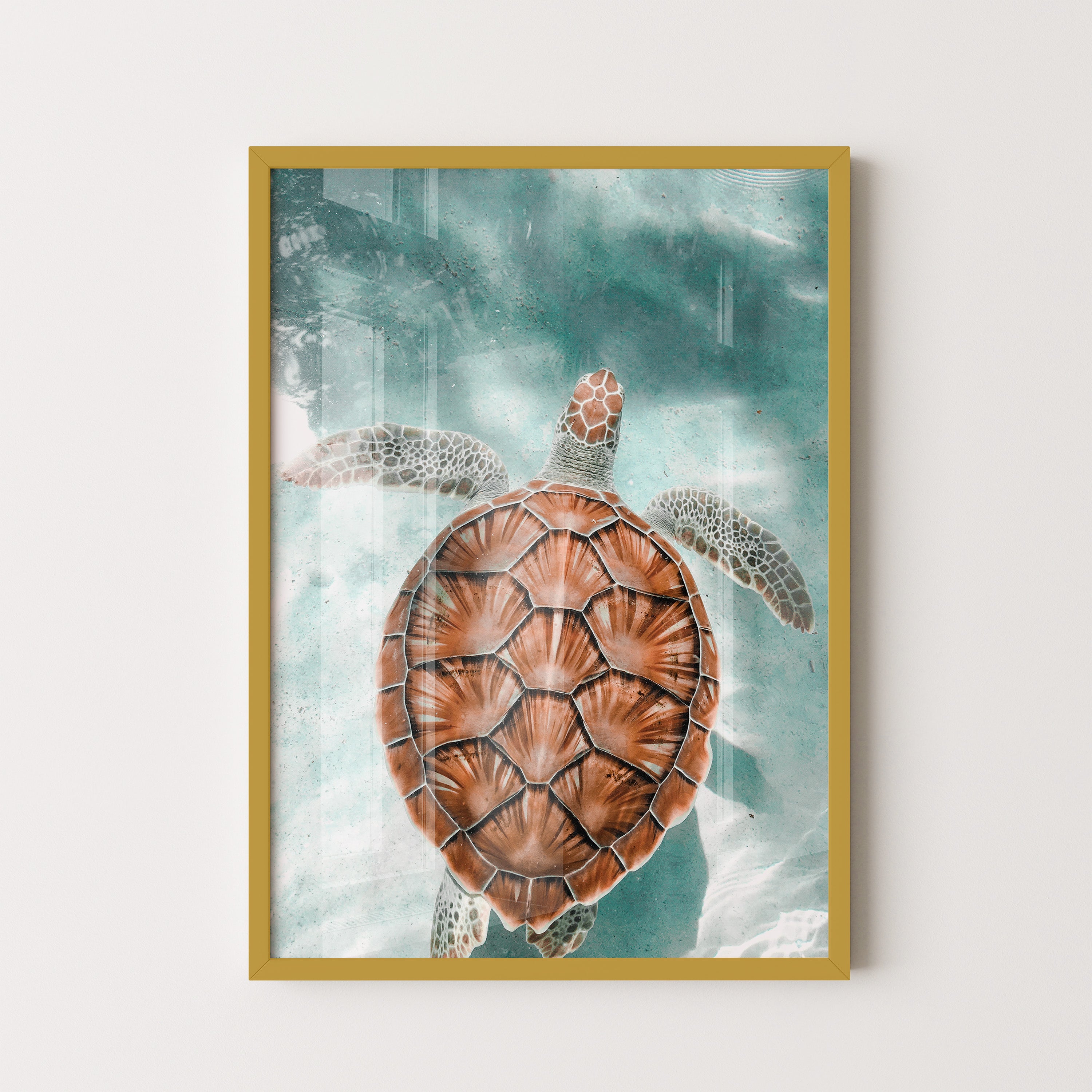 Sea Turtle in Turquoise Waters