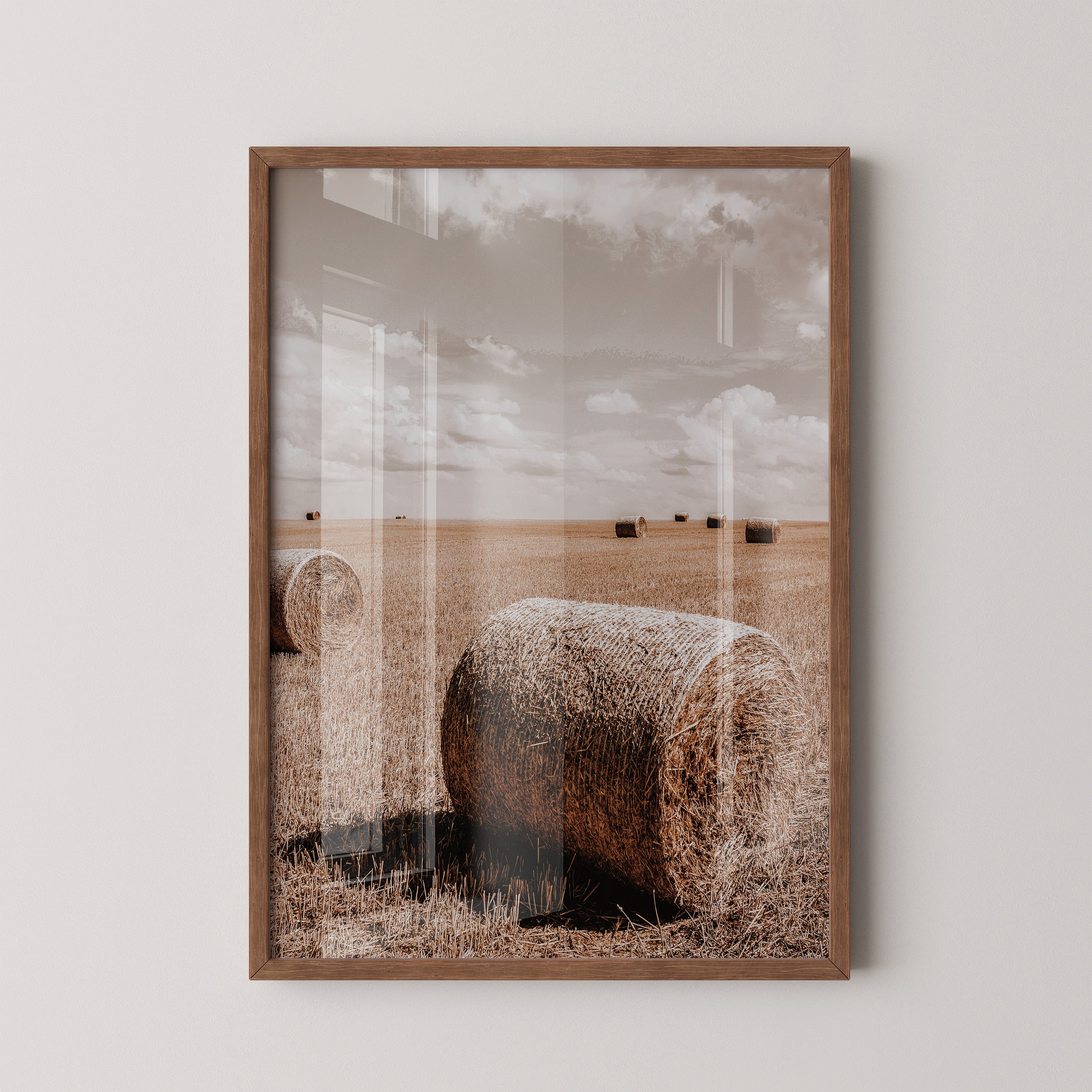 Golden Harvest Field