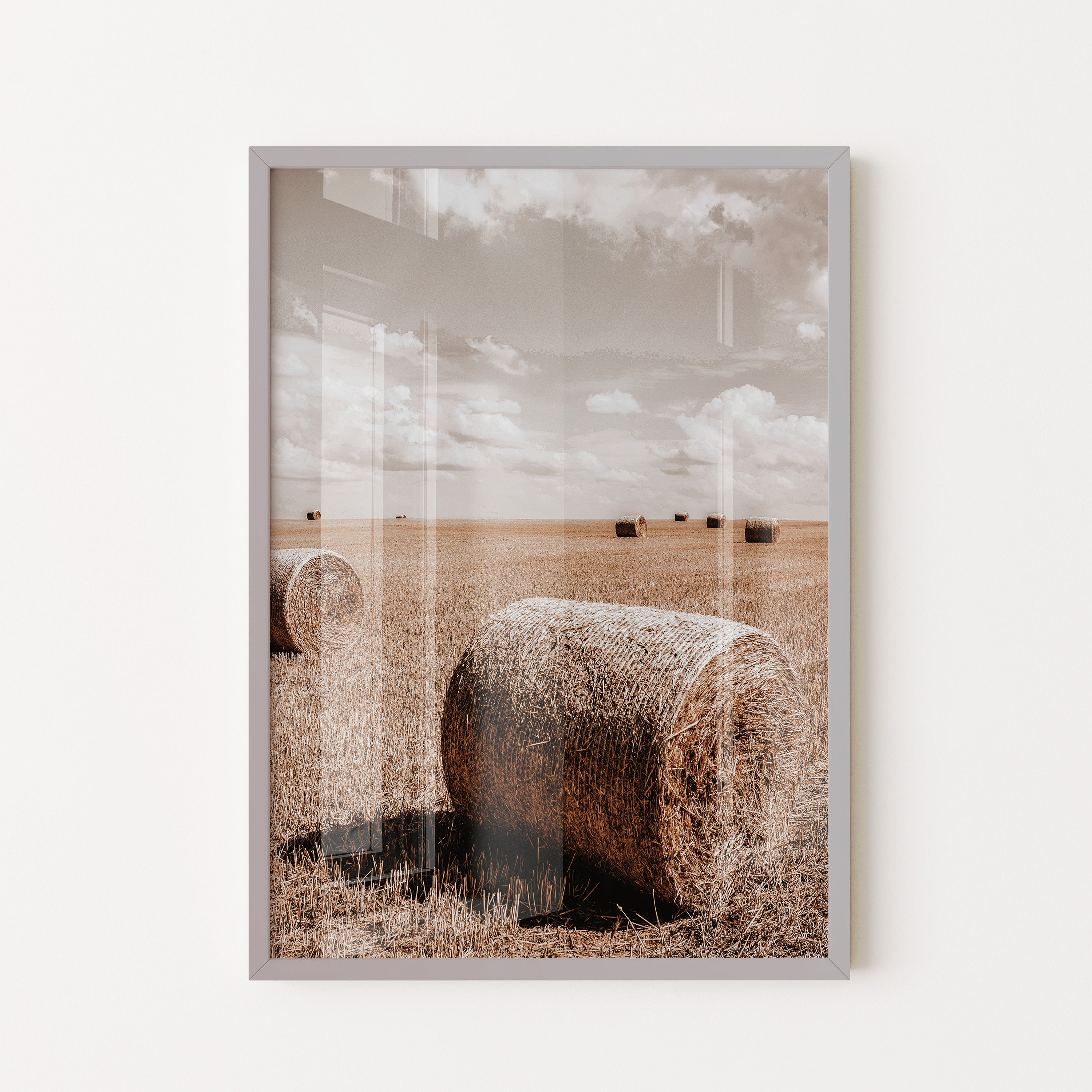 Golden Harvest Field