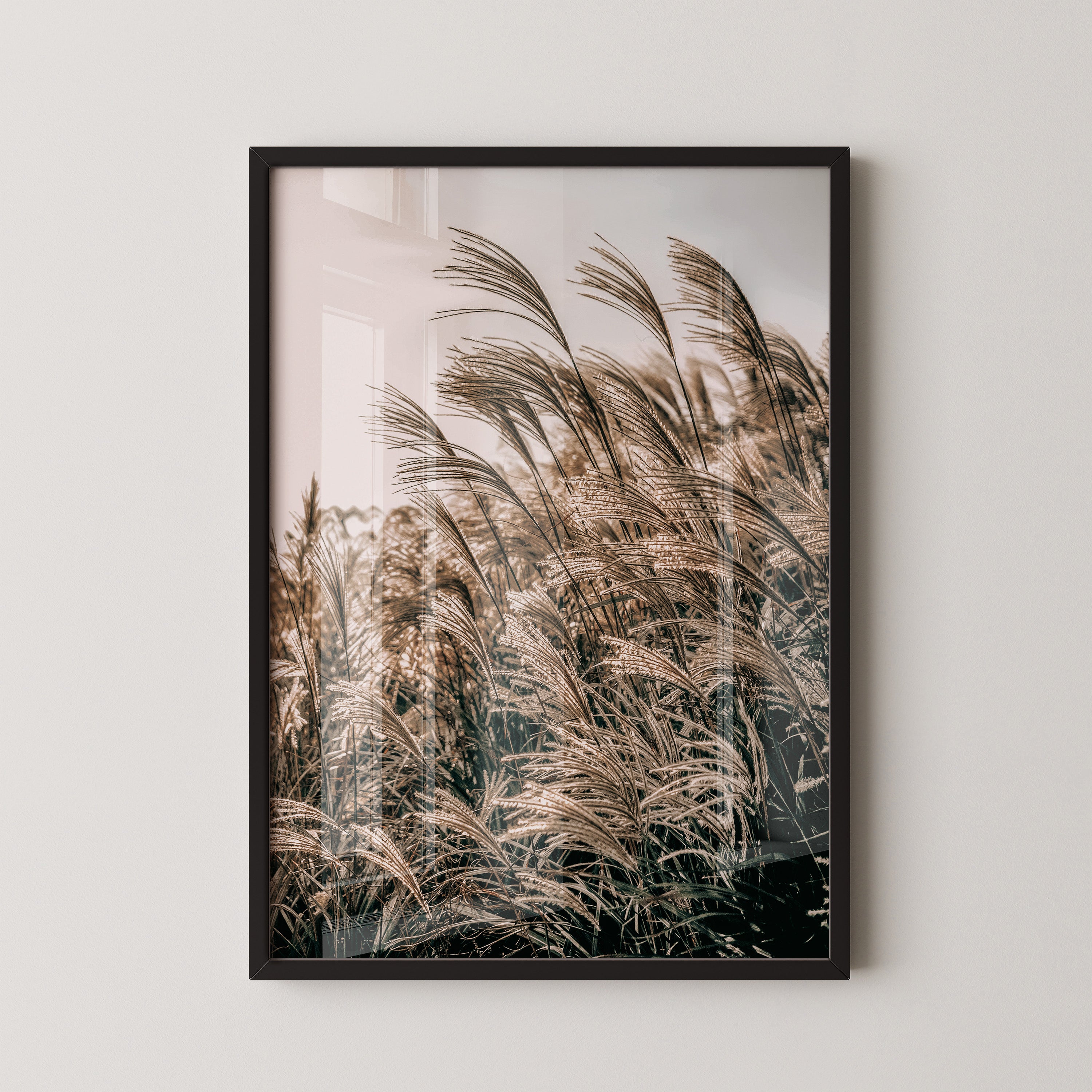 Golden Reed Grass – Nature Photography