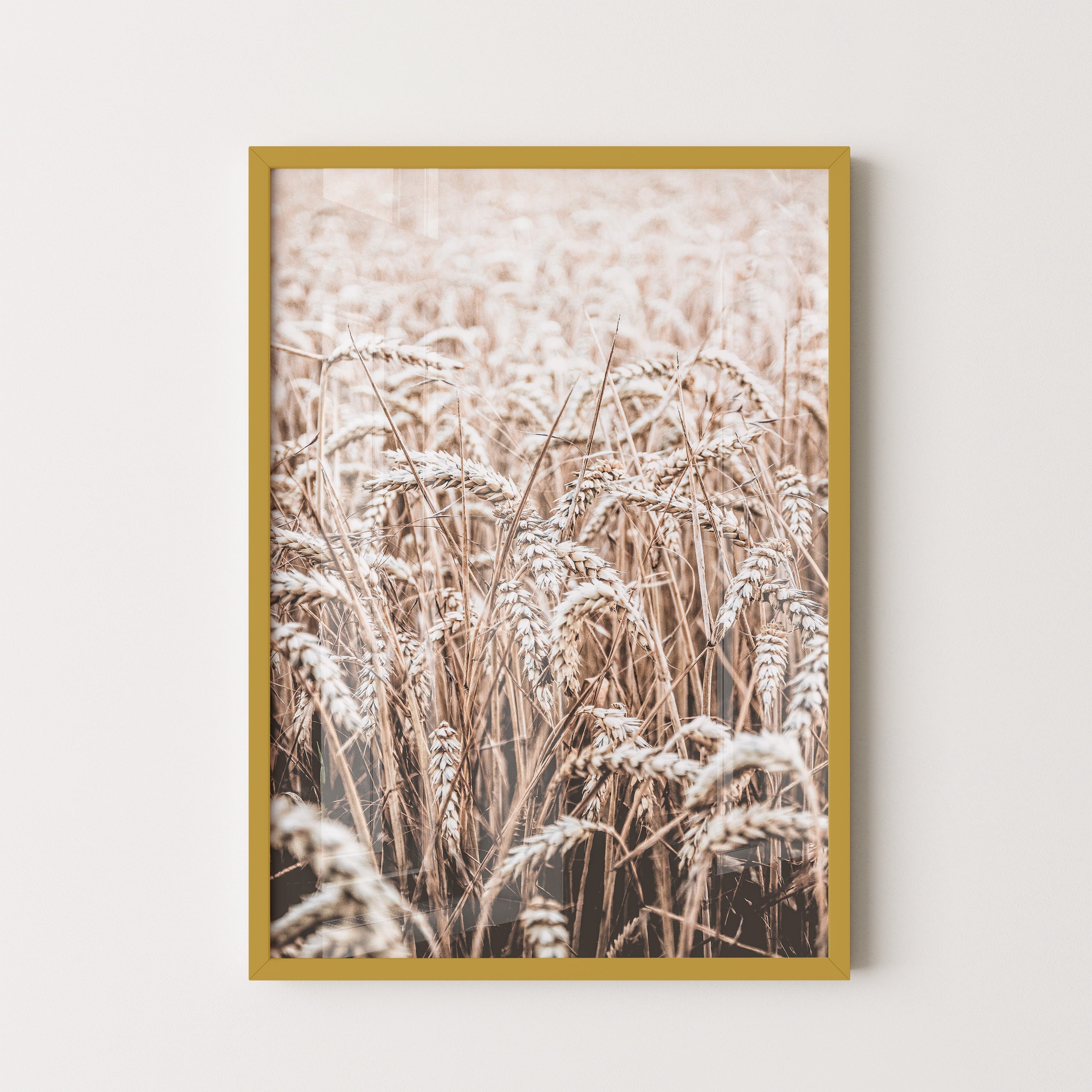 Golden Wheat Field – Soft Autumn Light