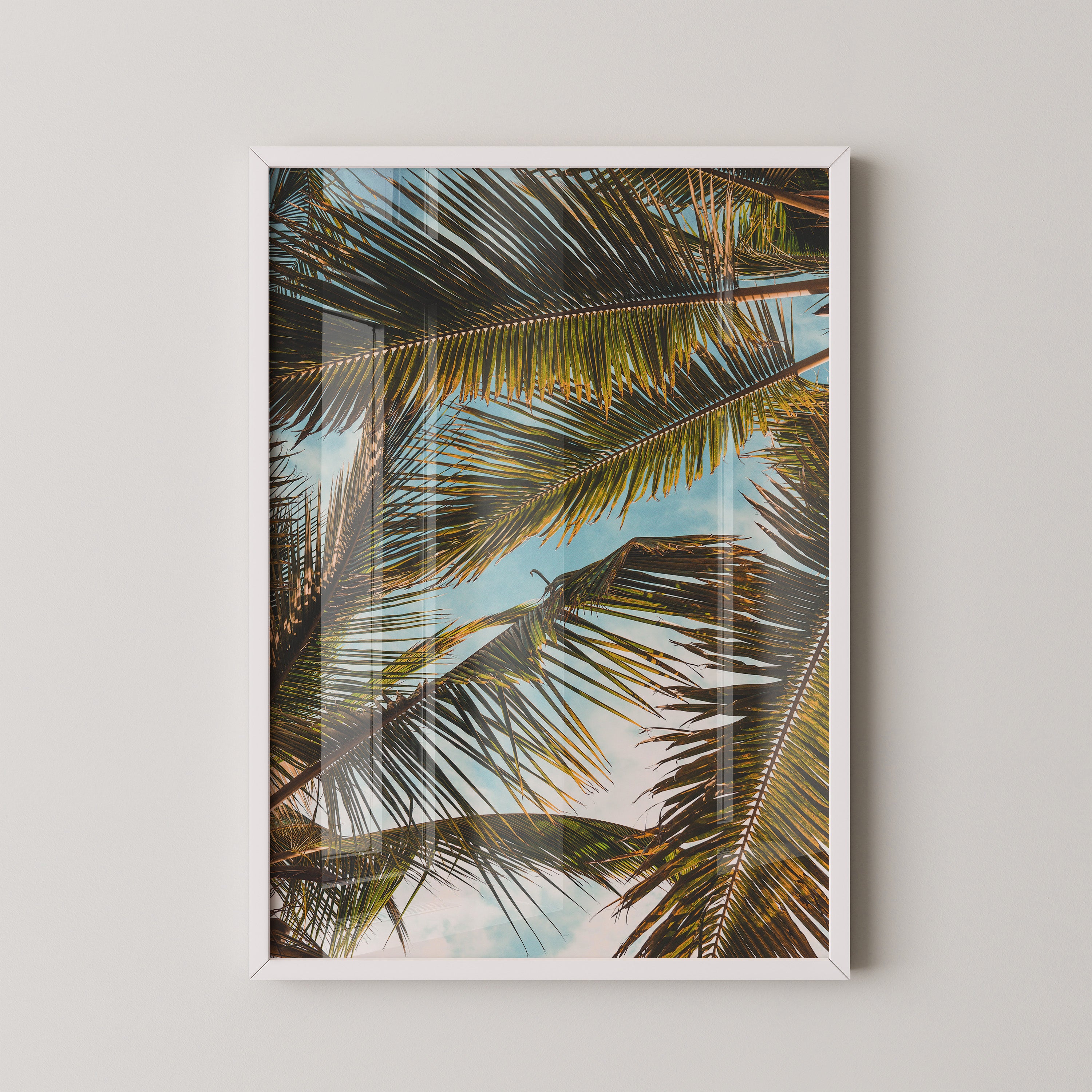 Palm Overhead