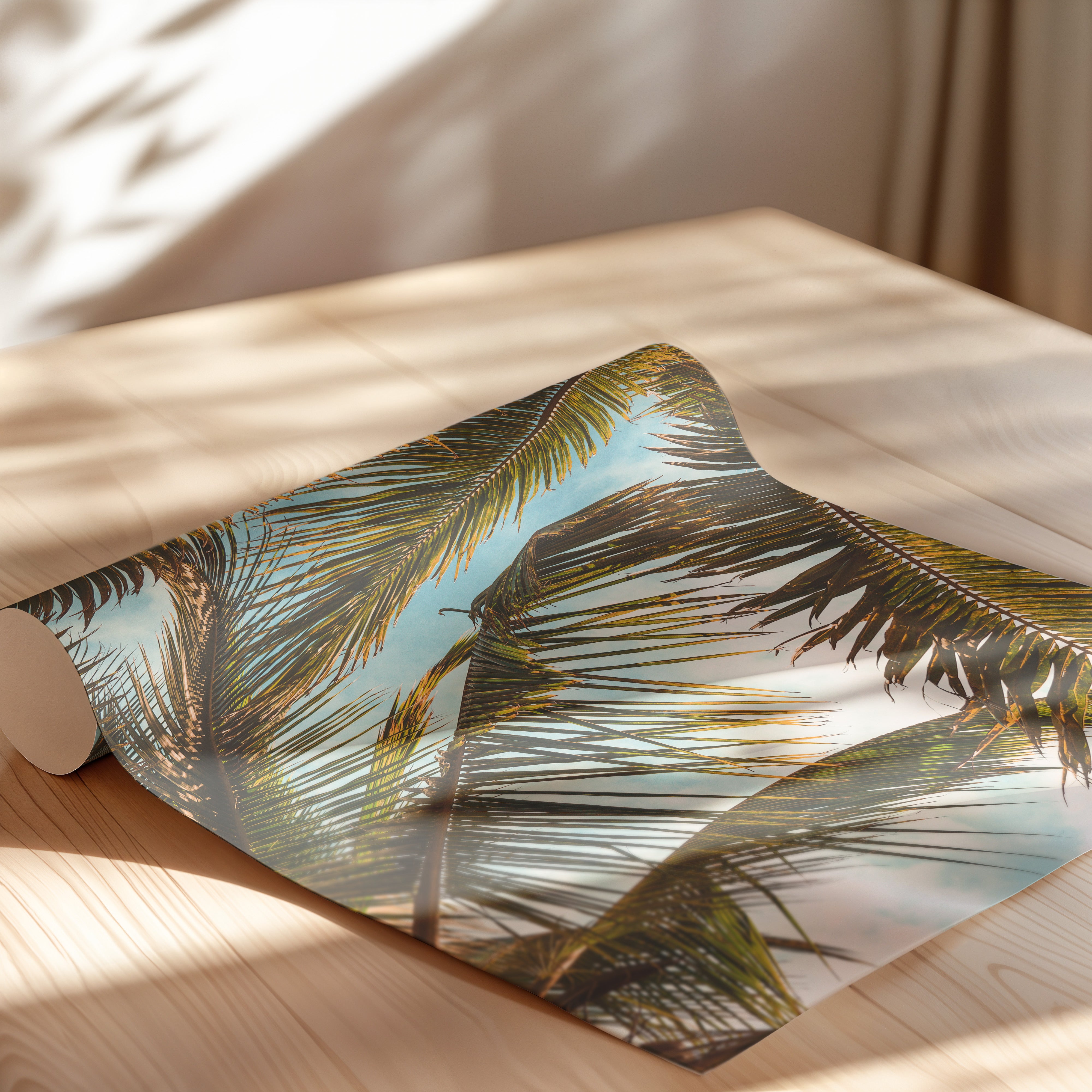 Palm Overhead