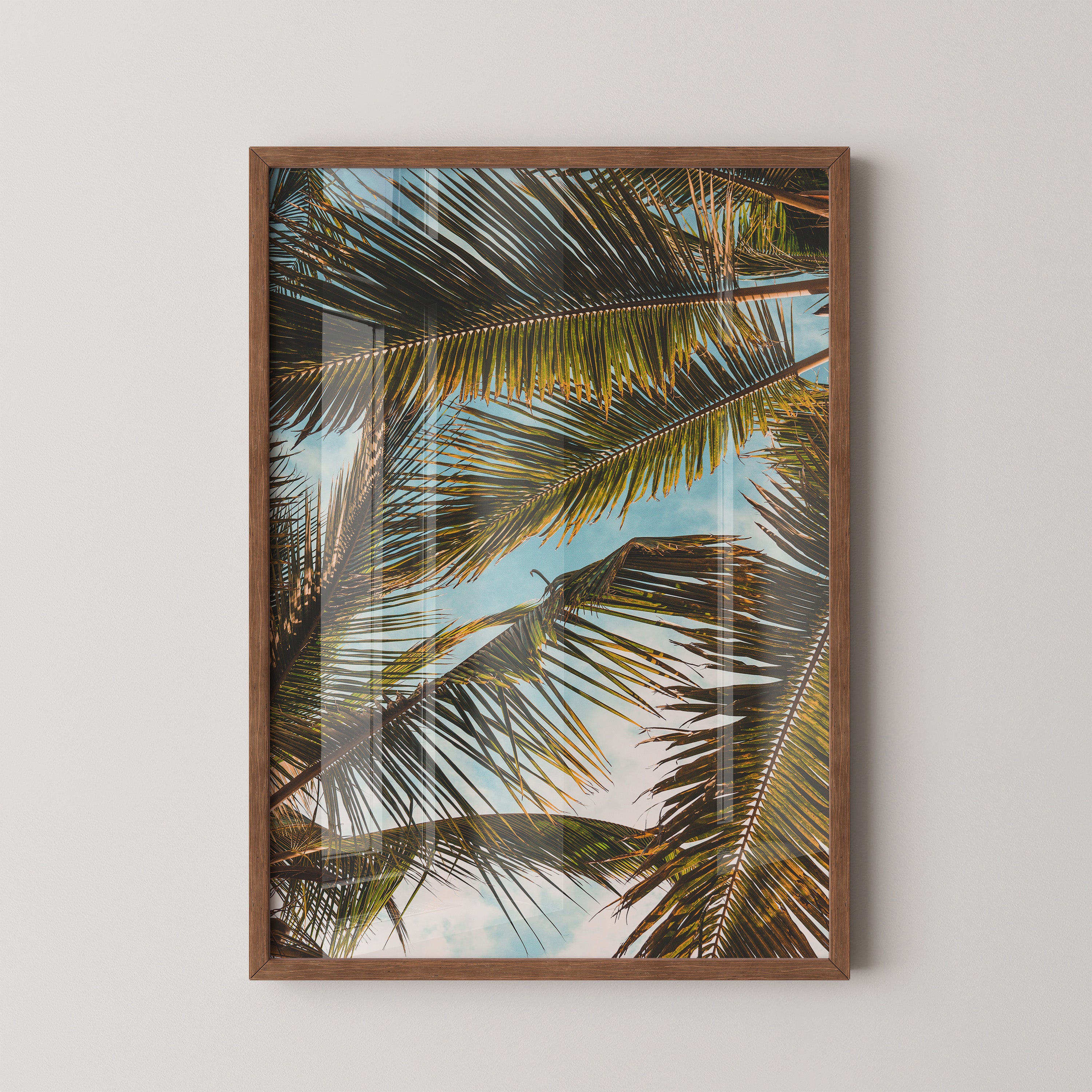 Palm Overhead