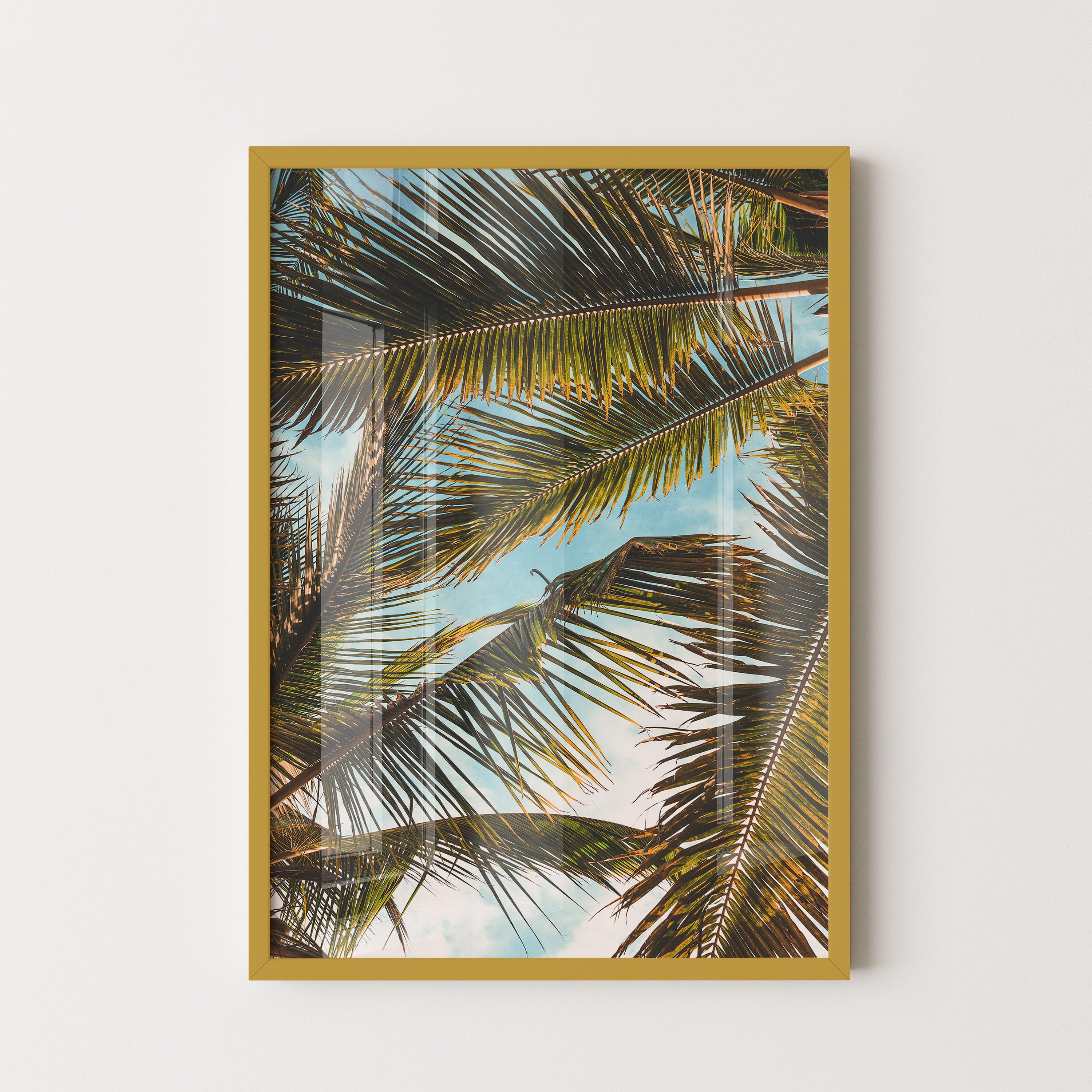 Palm Overhead