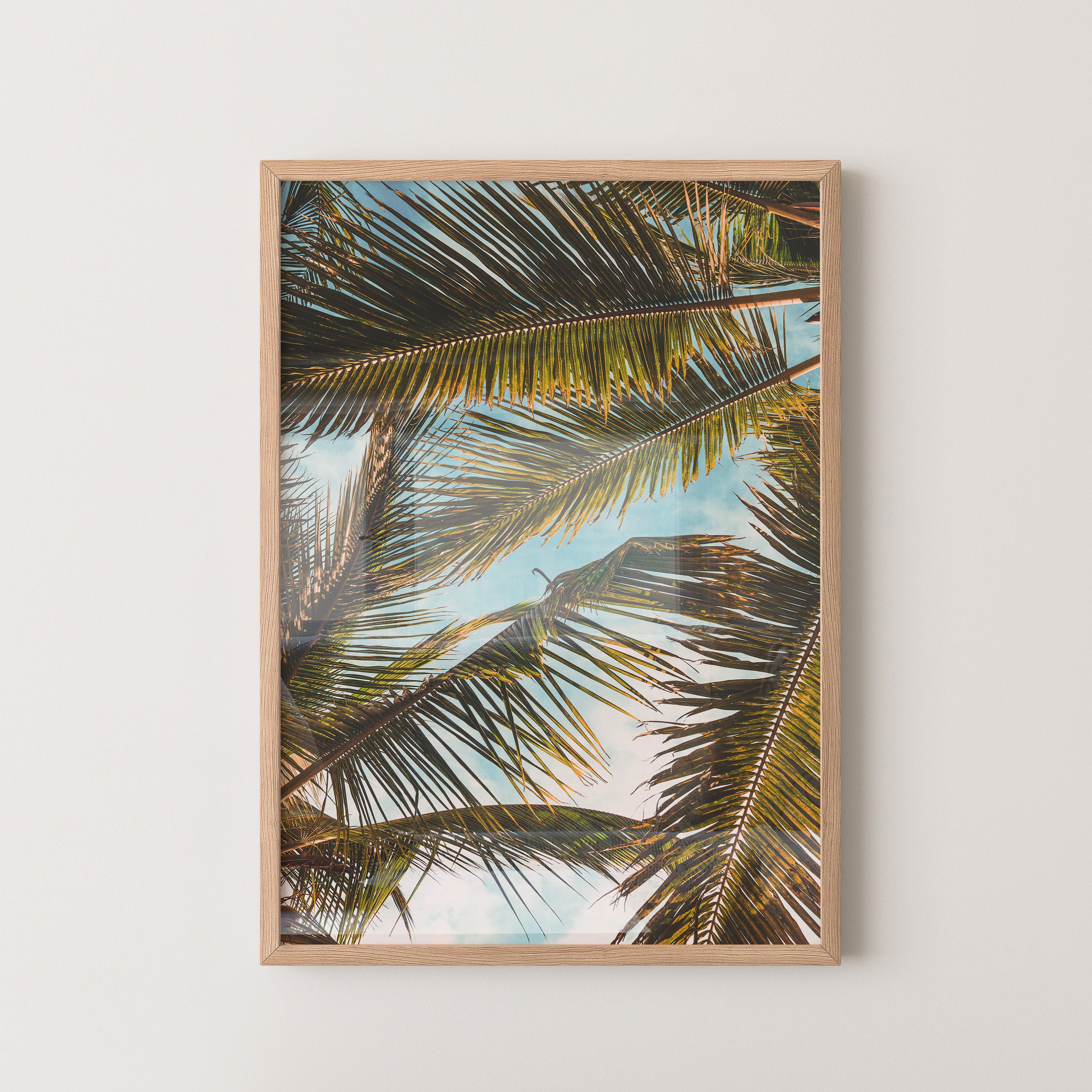 Palm Overhead