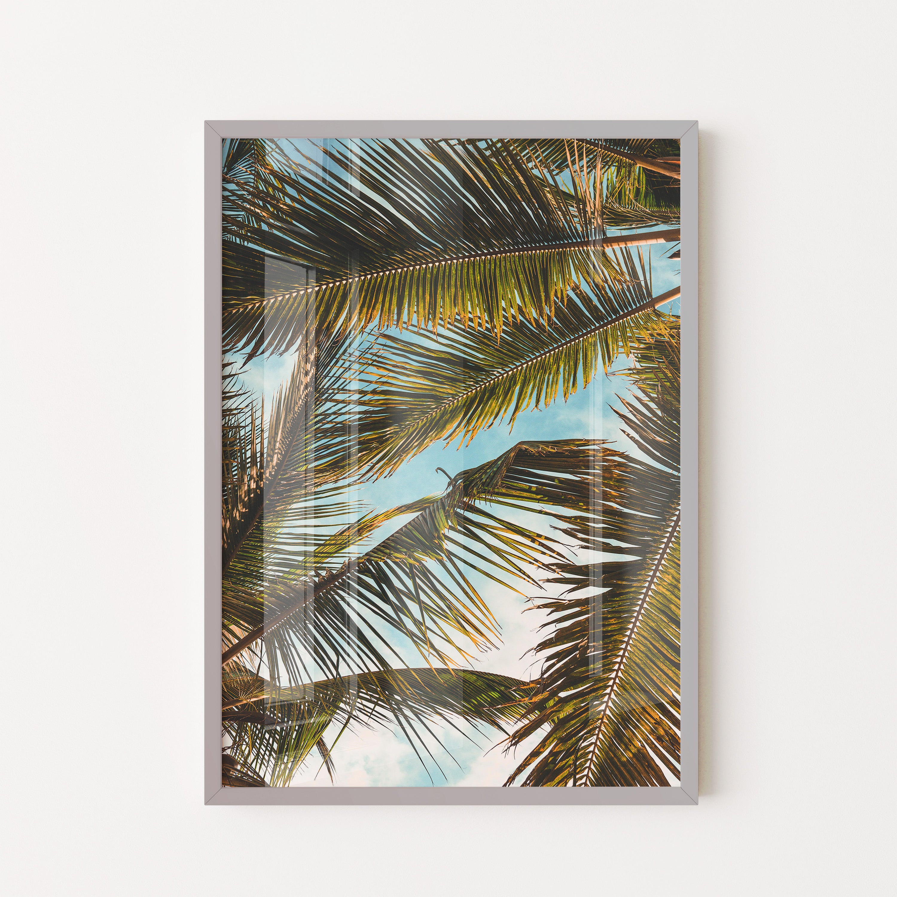 Palm Overhead