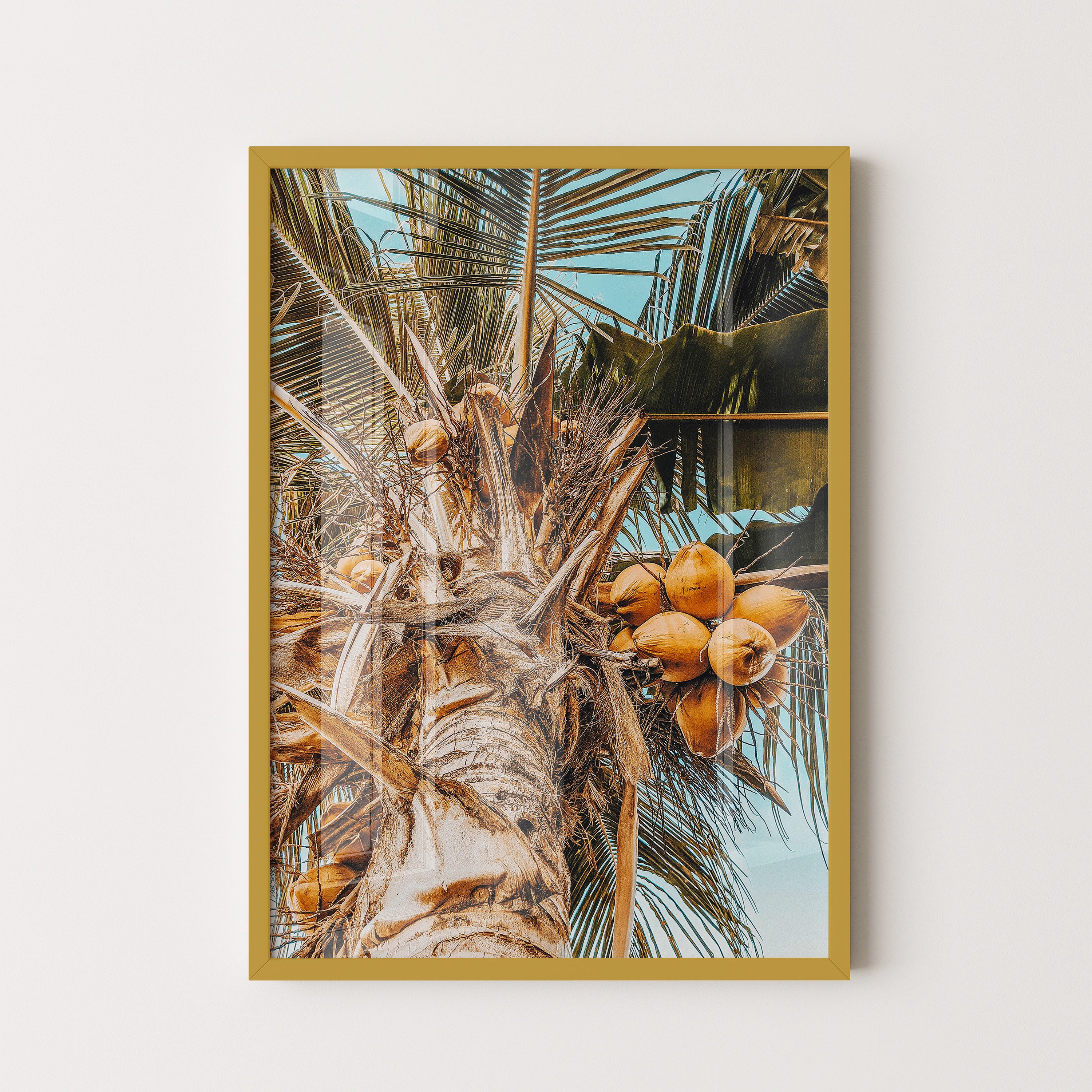 Coconut Breeze
