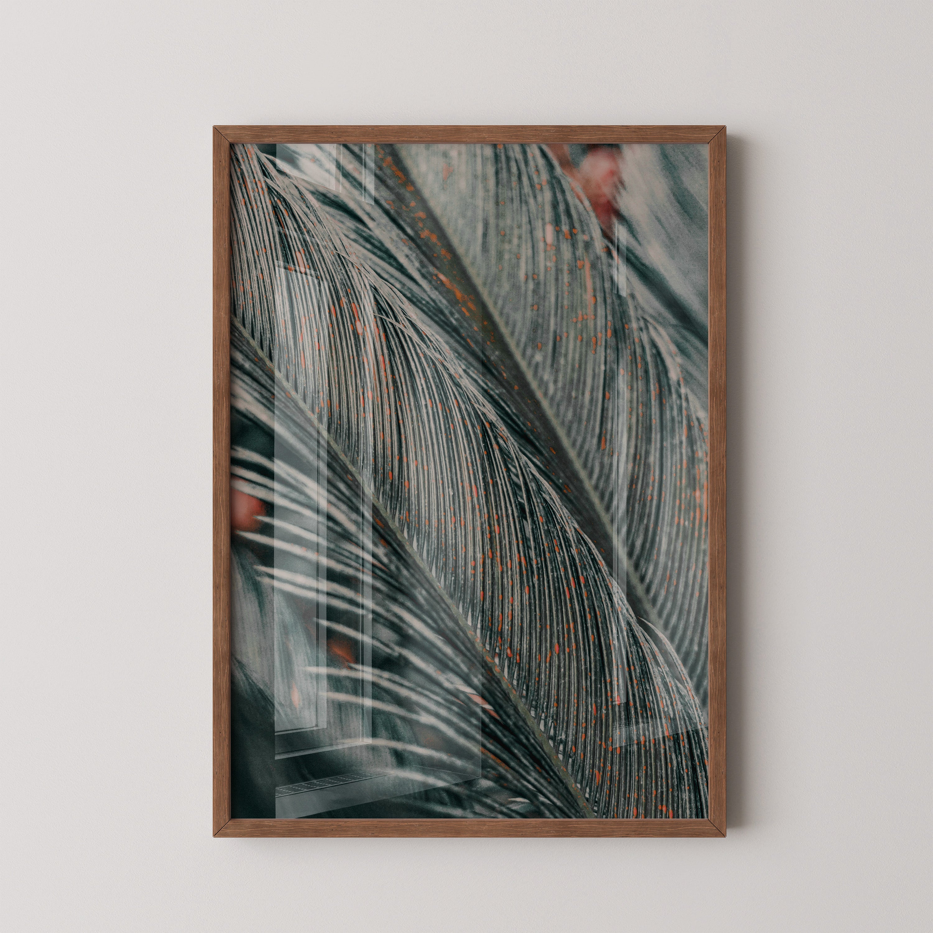 Palm Texture