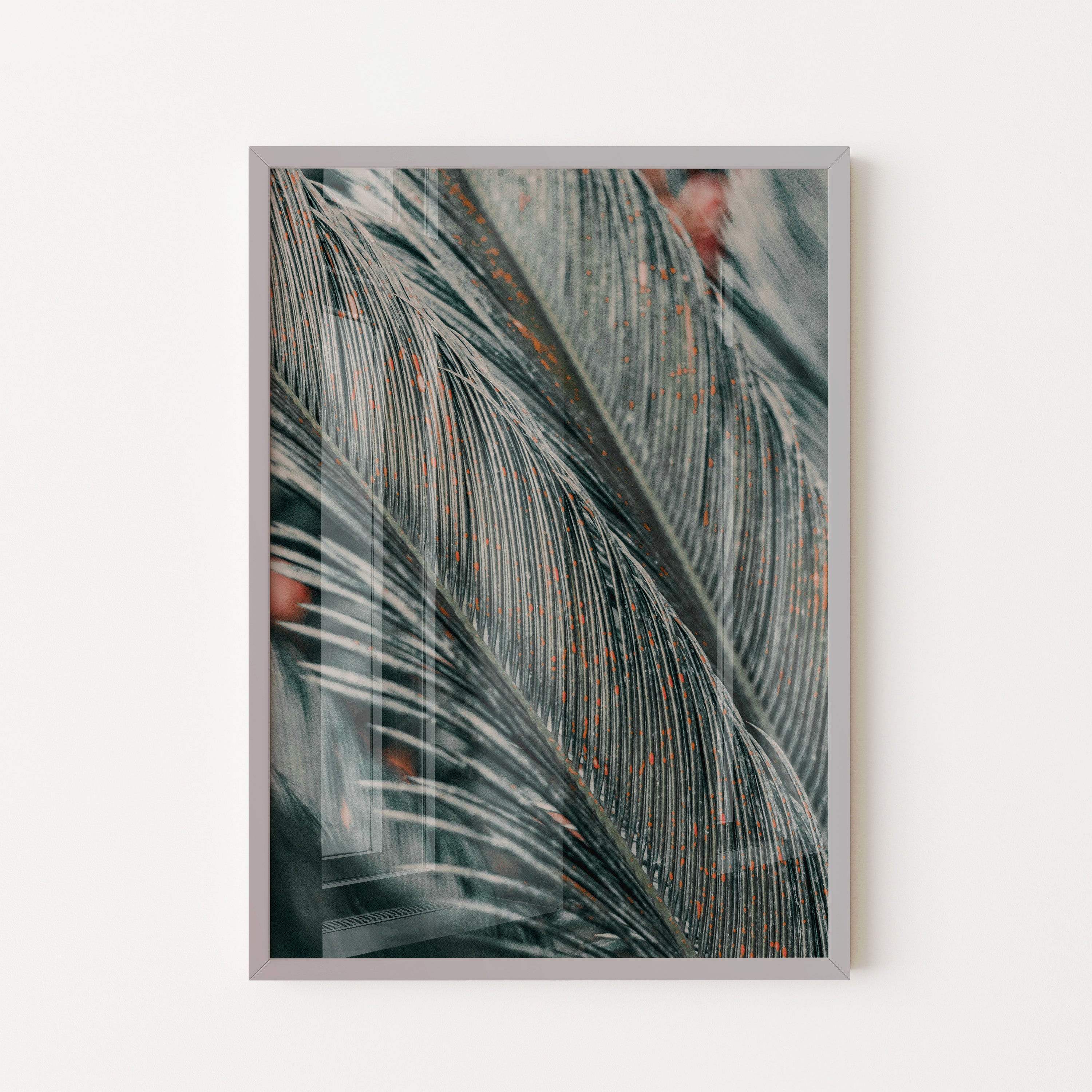 Palm Texture