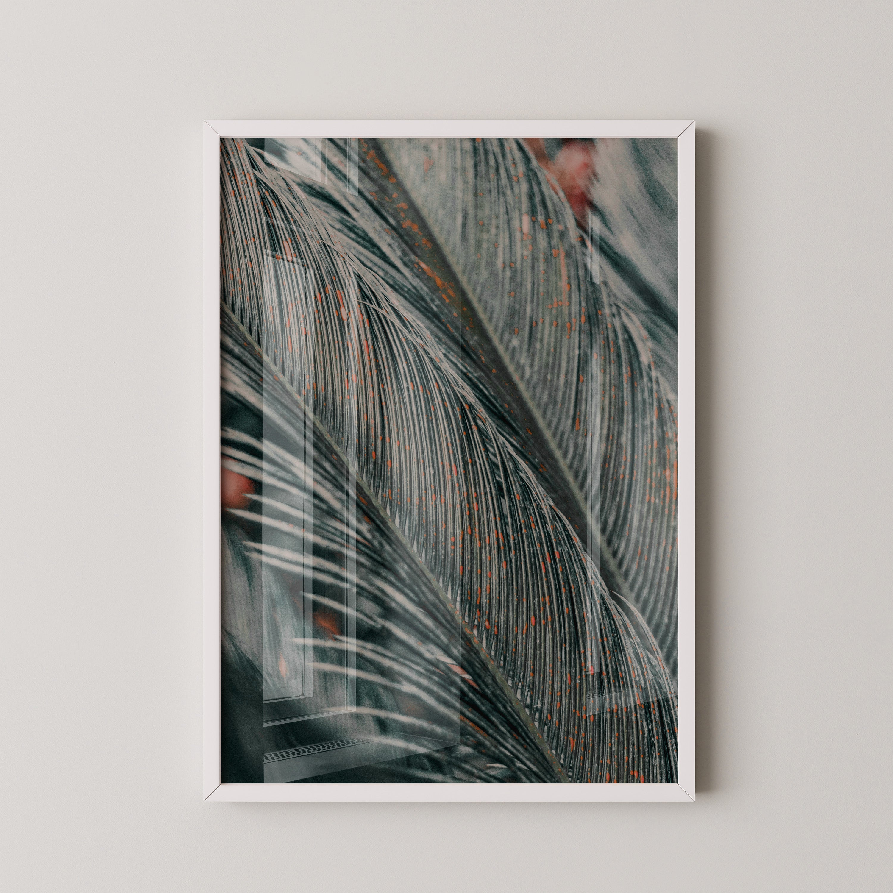 Palm Texture