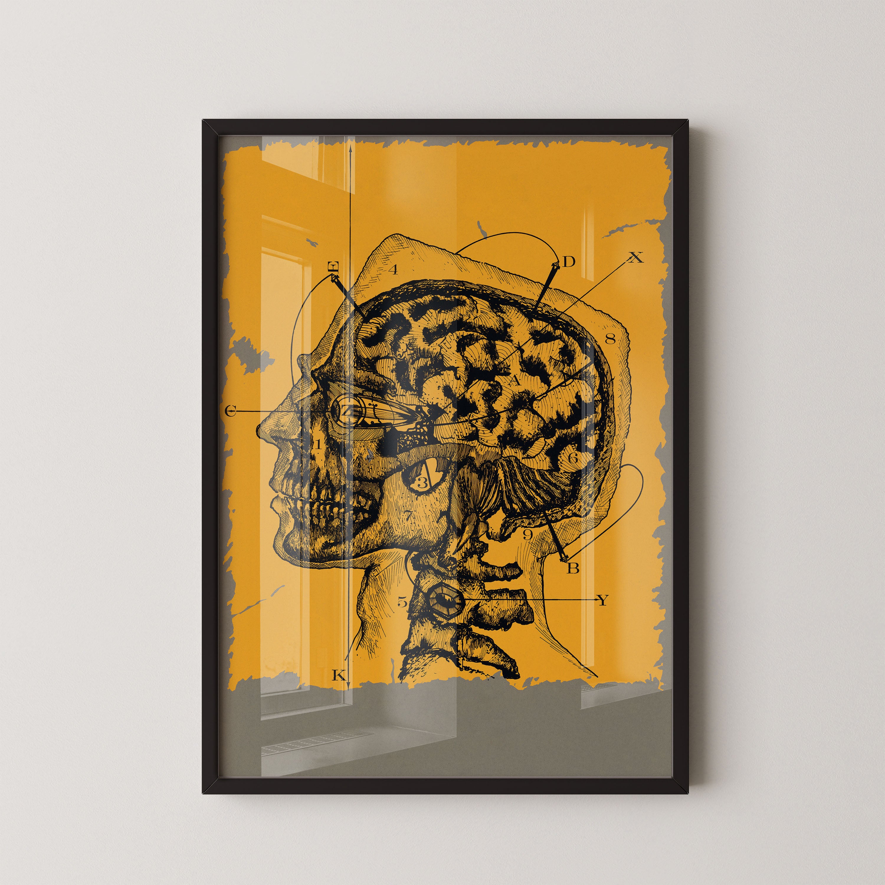 Anatomy Of Thought