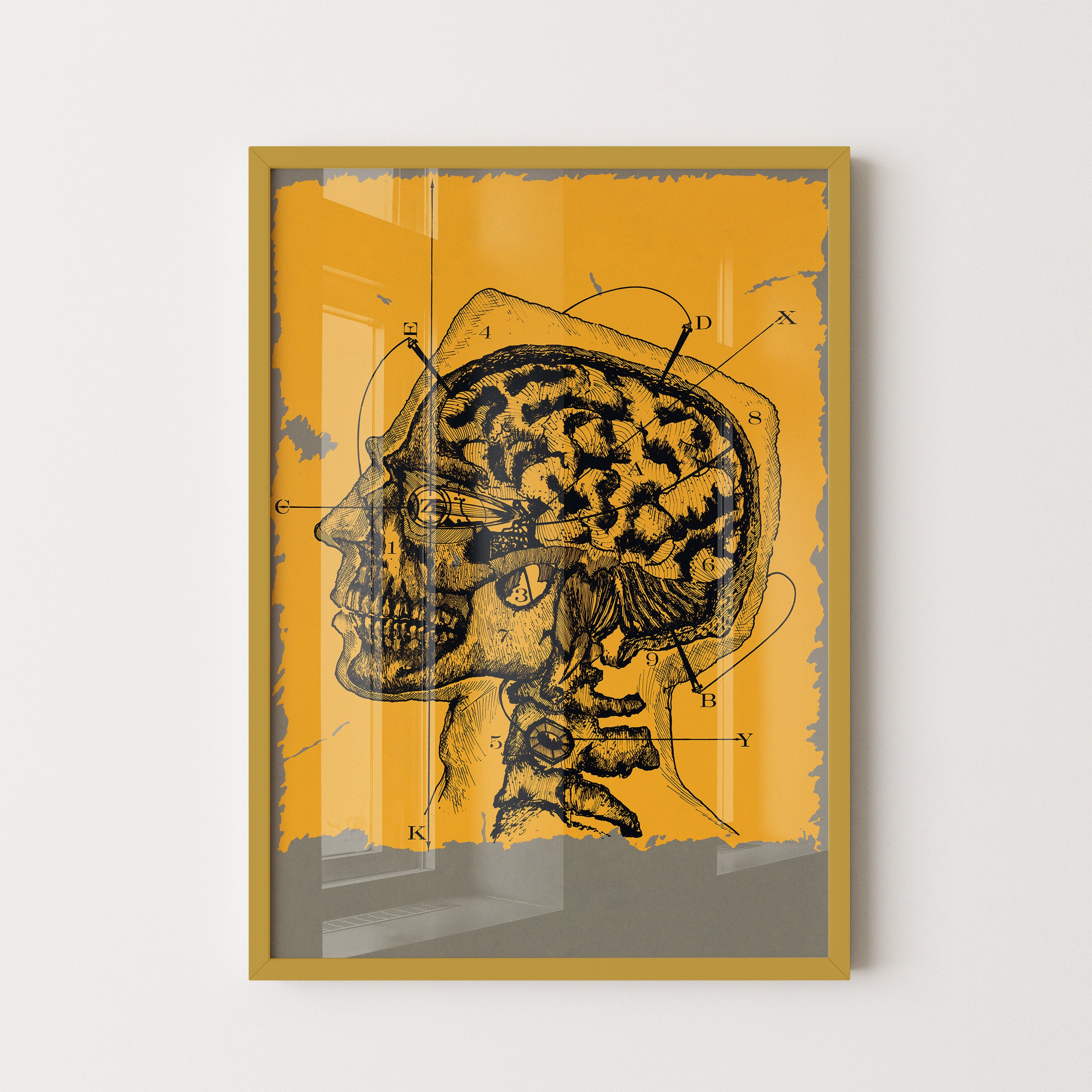 Anatomy Of Thought