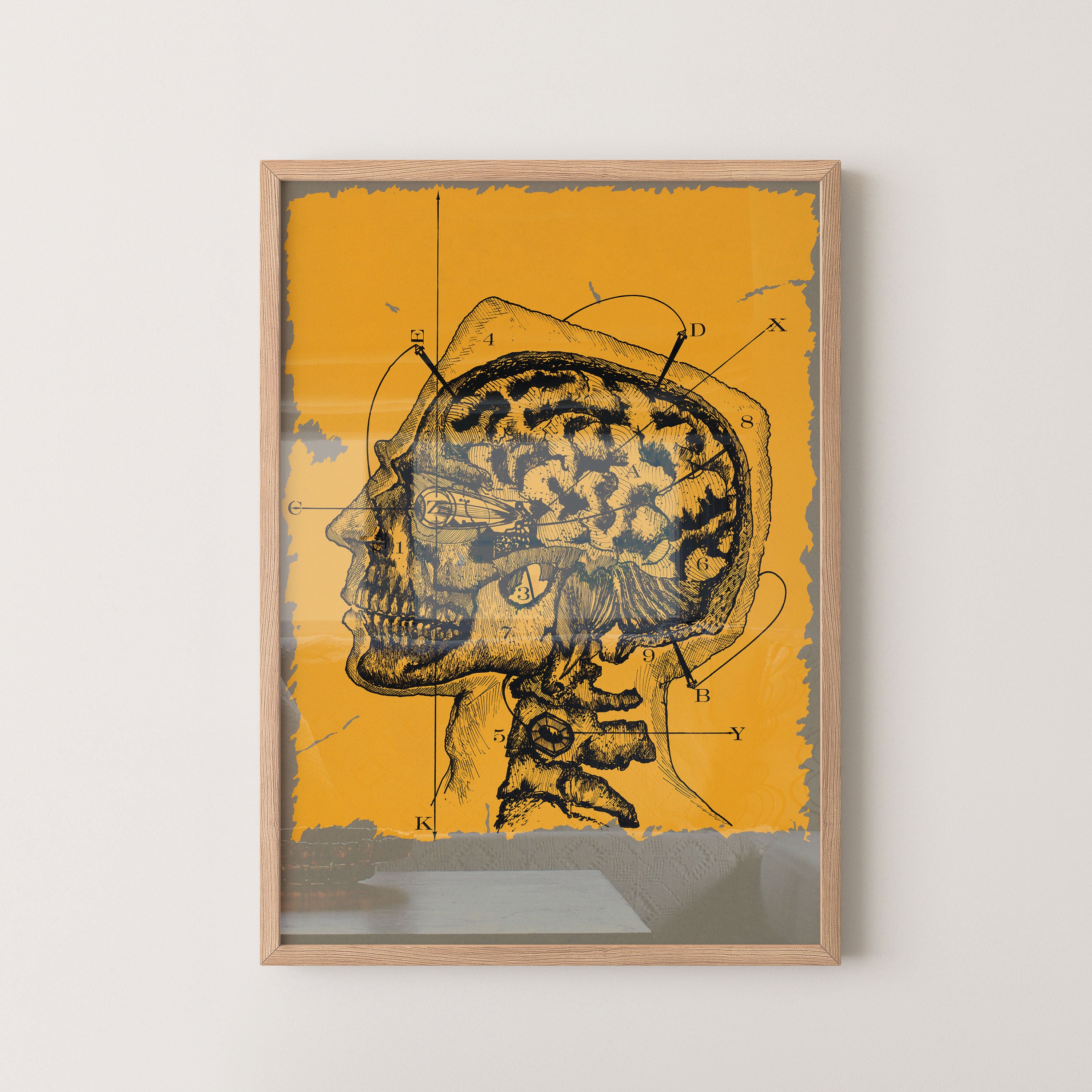 Anatomy Of Thought