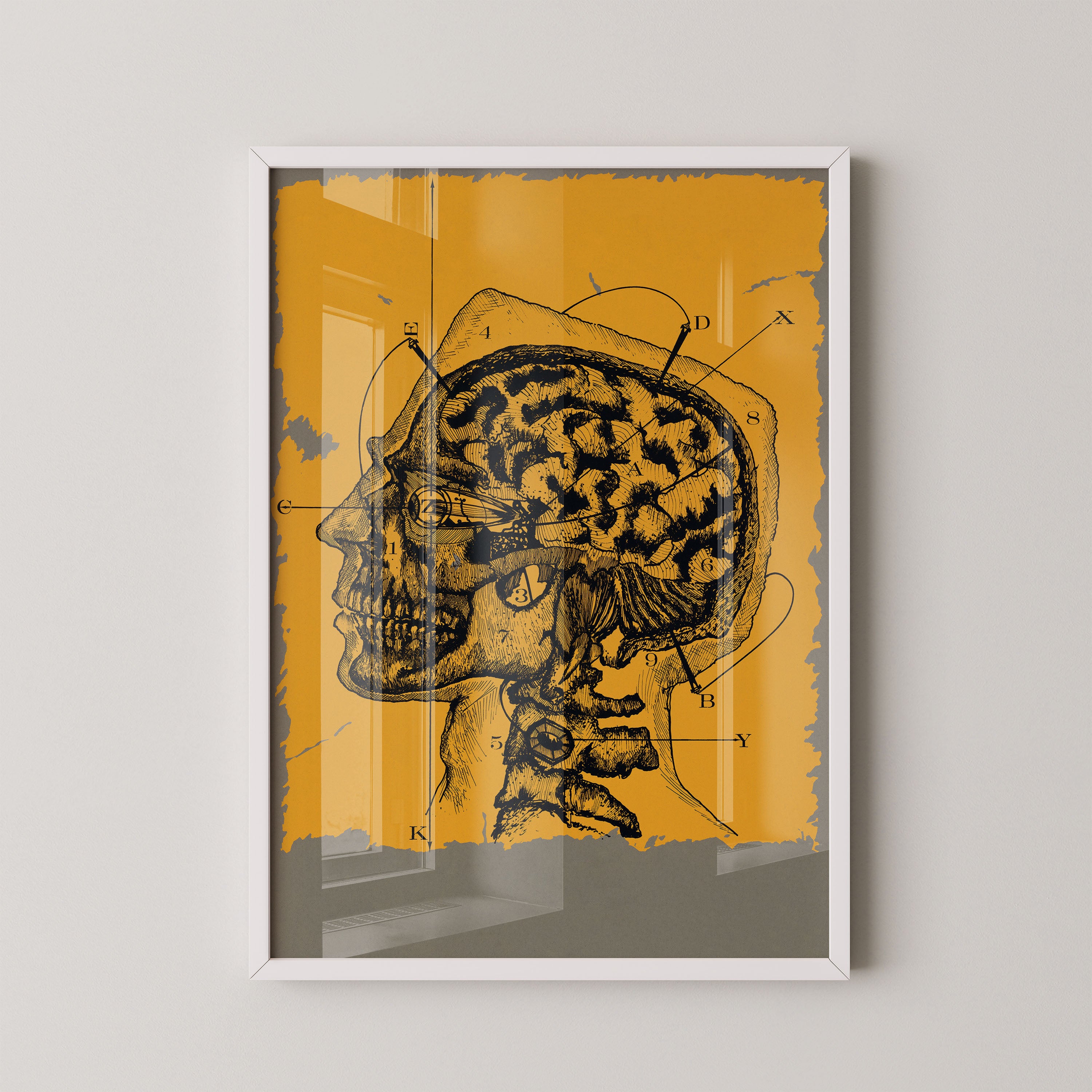 Anatomy Of Thought