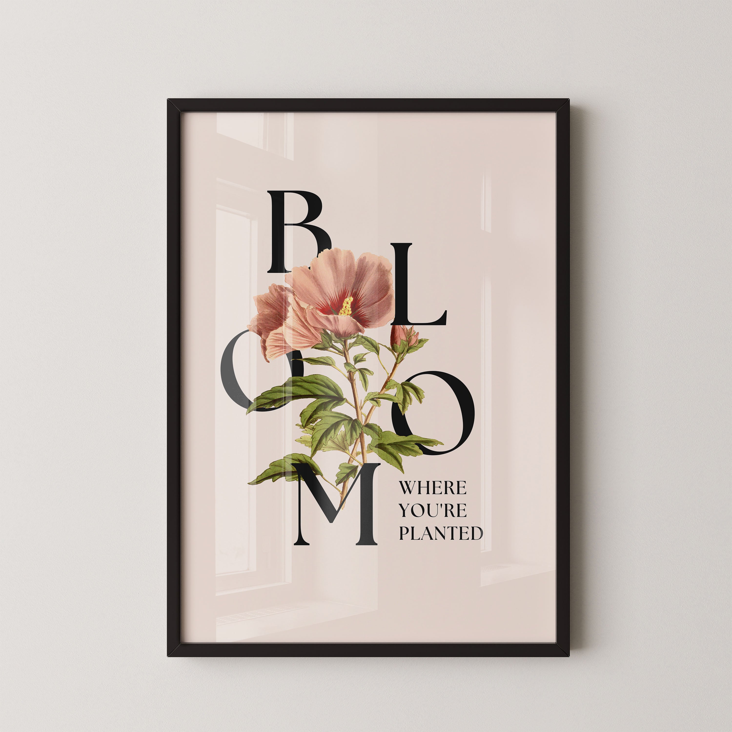 Petal Serif Harmony