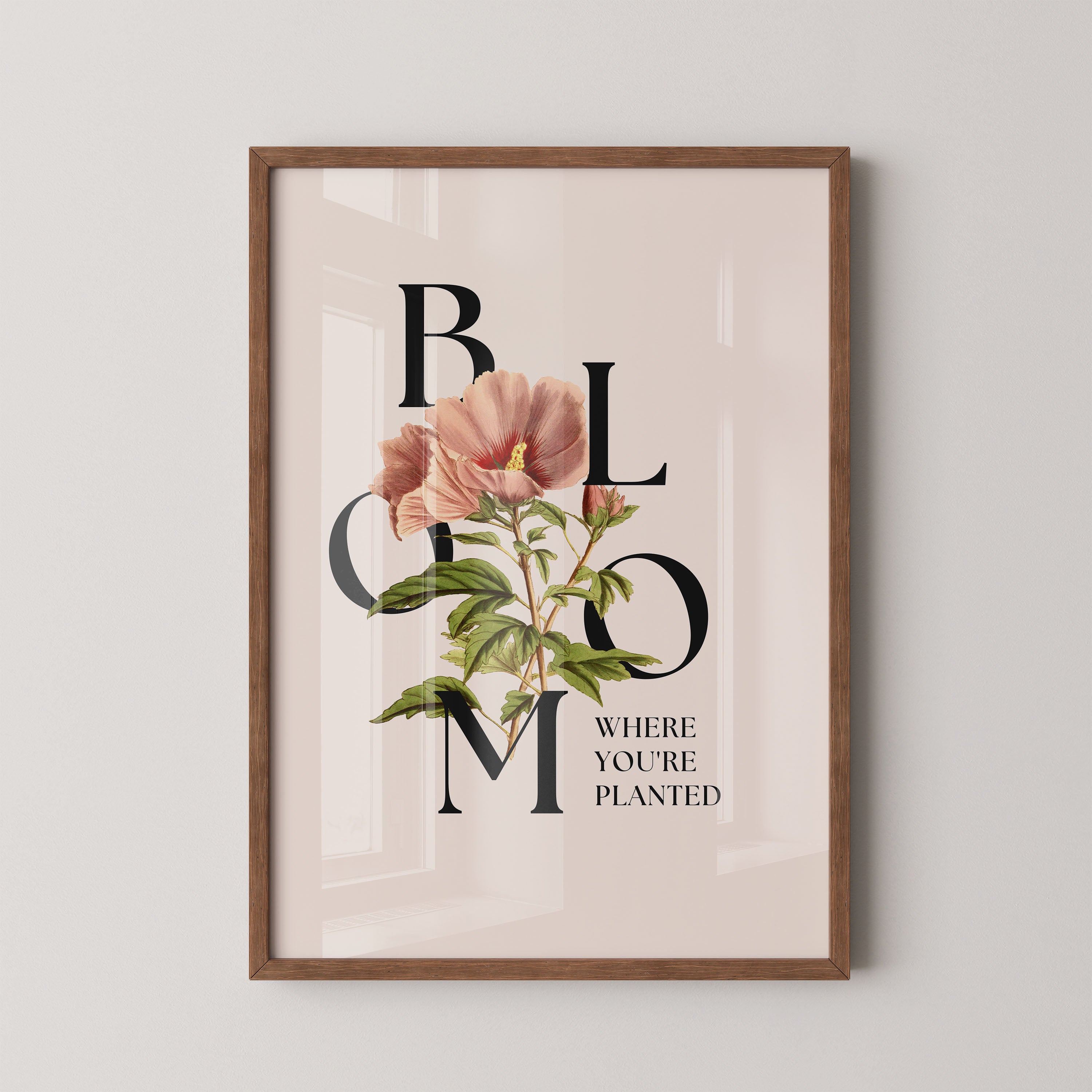 Petal Serif Harmony