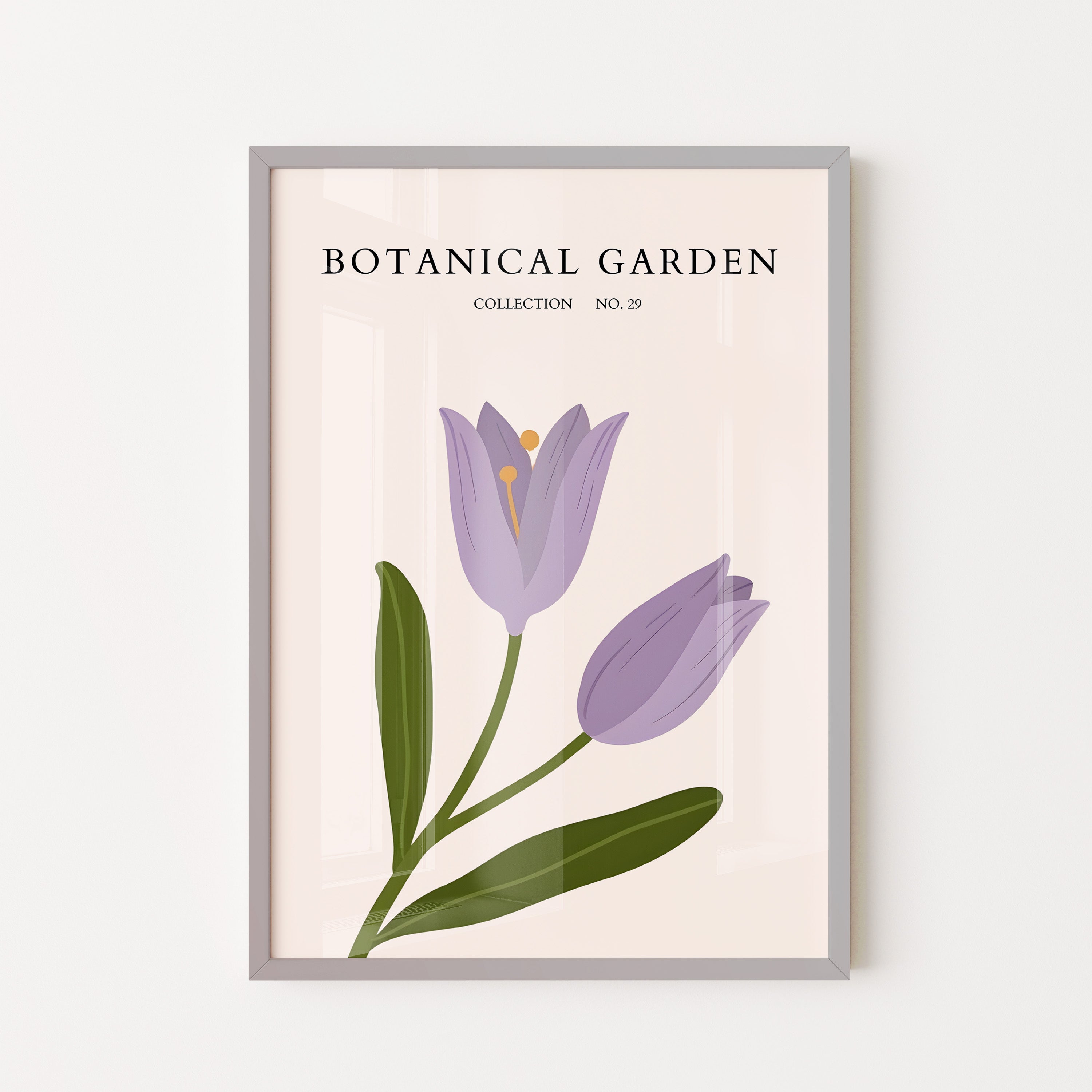 Botanical Garden Lavender Tulip Minimal