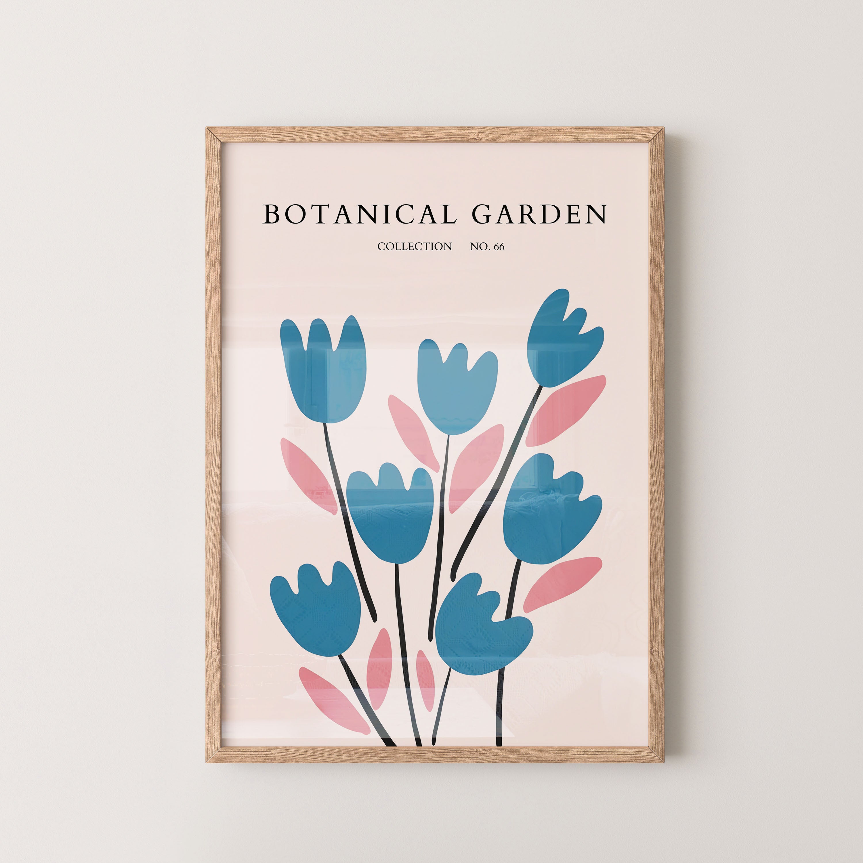 No Borderrdic Tulip Rhythm
