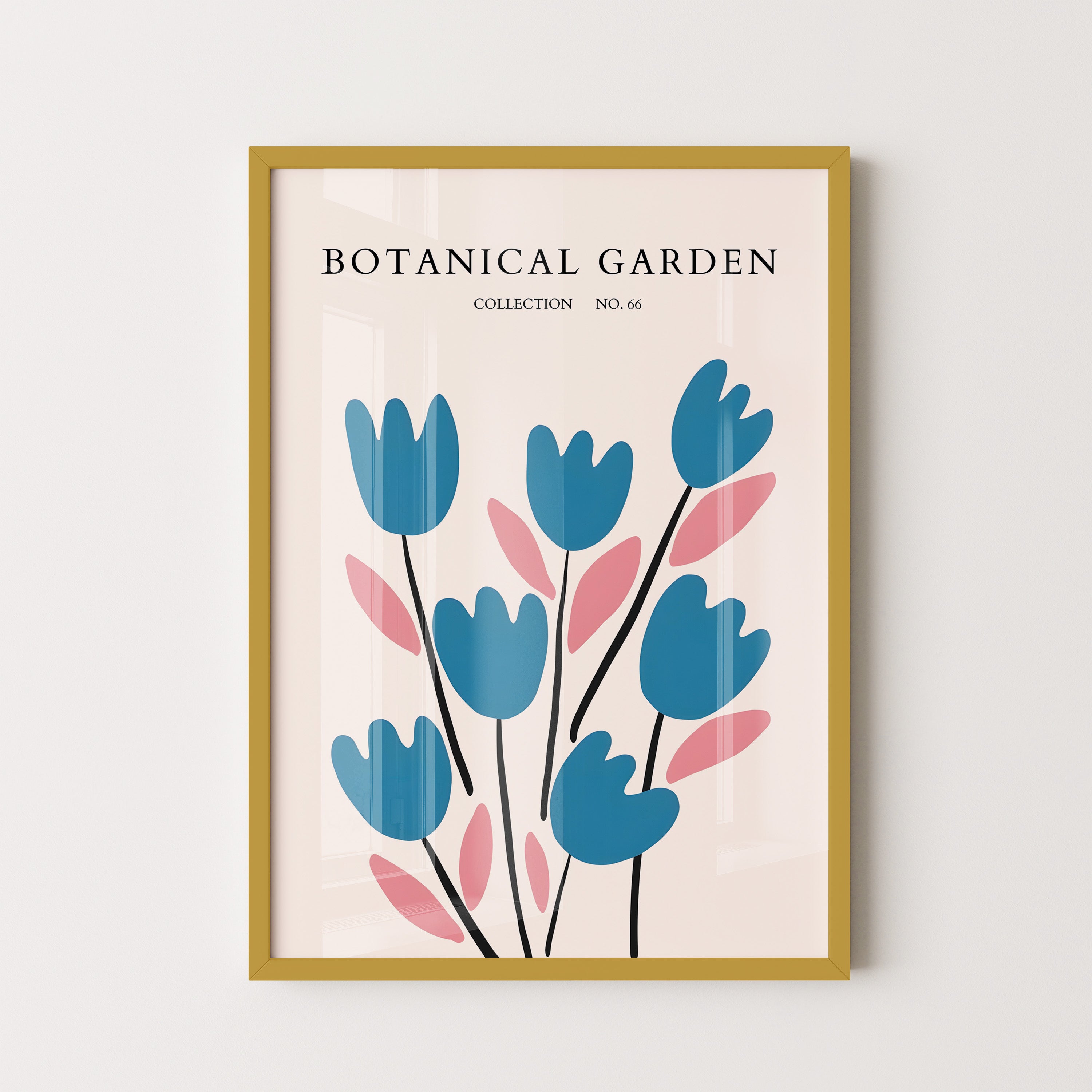 No Borderrdic Tulip Rhythm