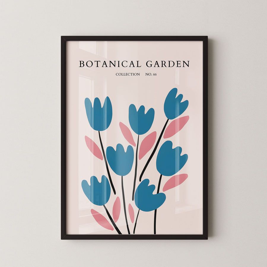 No Borderrdic Tulip Rhythm