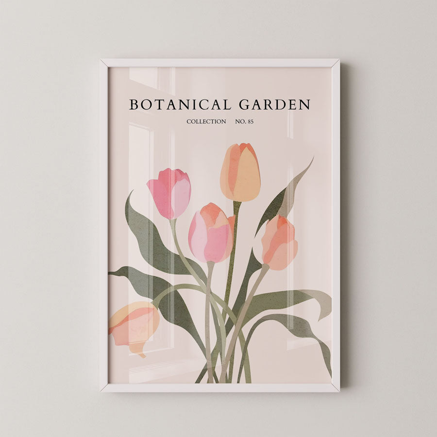 Soft Tulip Bloom