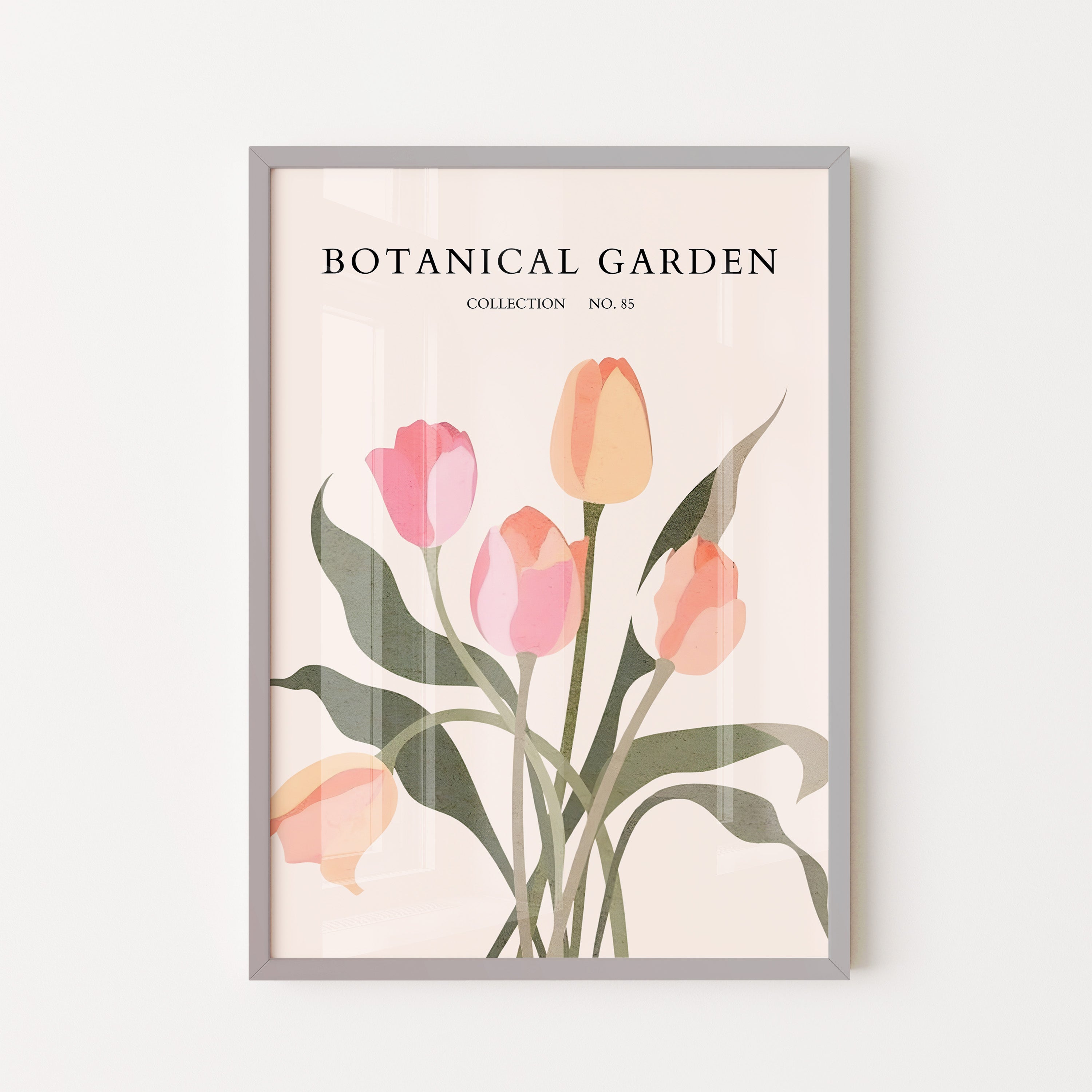 Soft Tulip Bloom