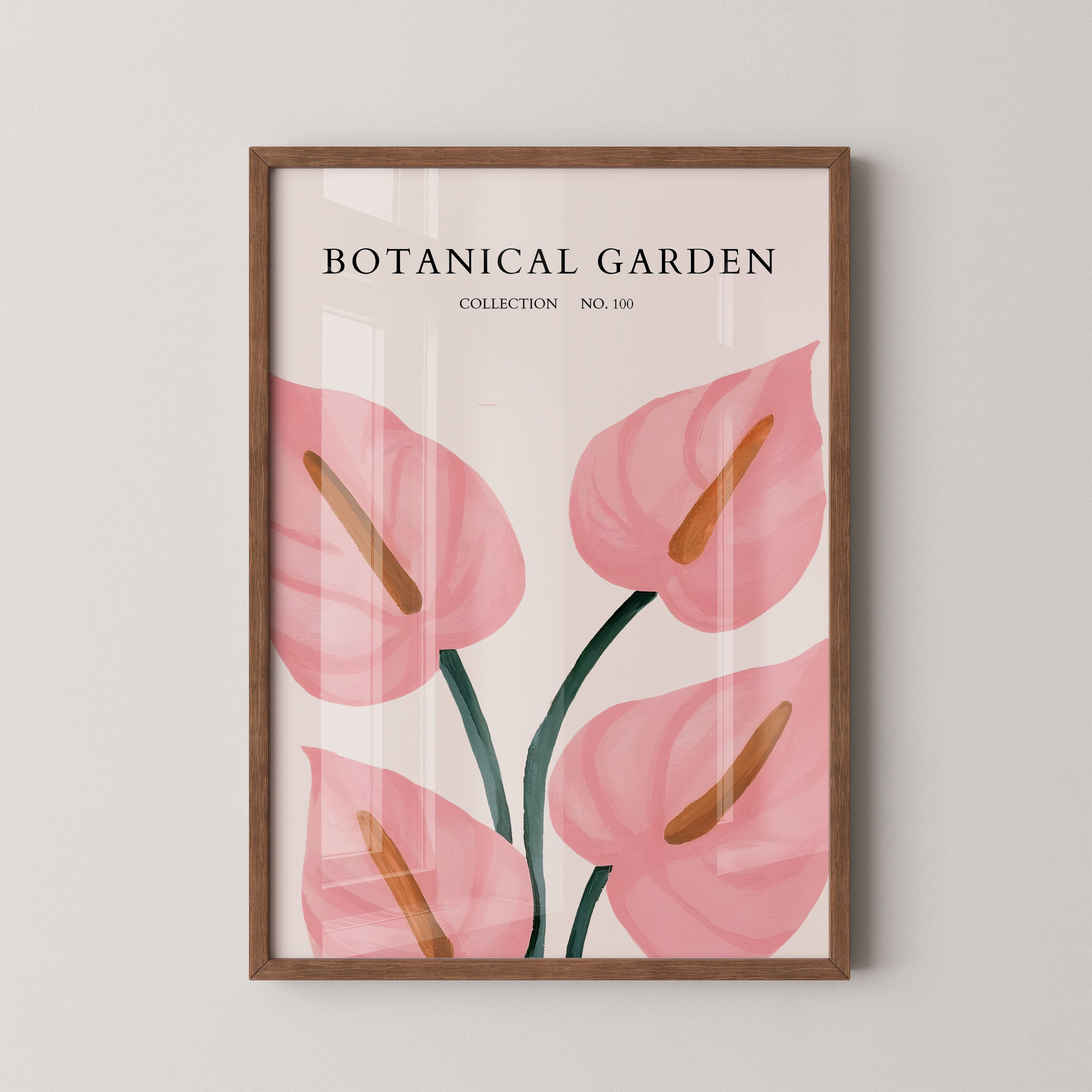 Blush Anthurium