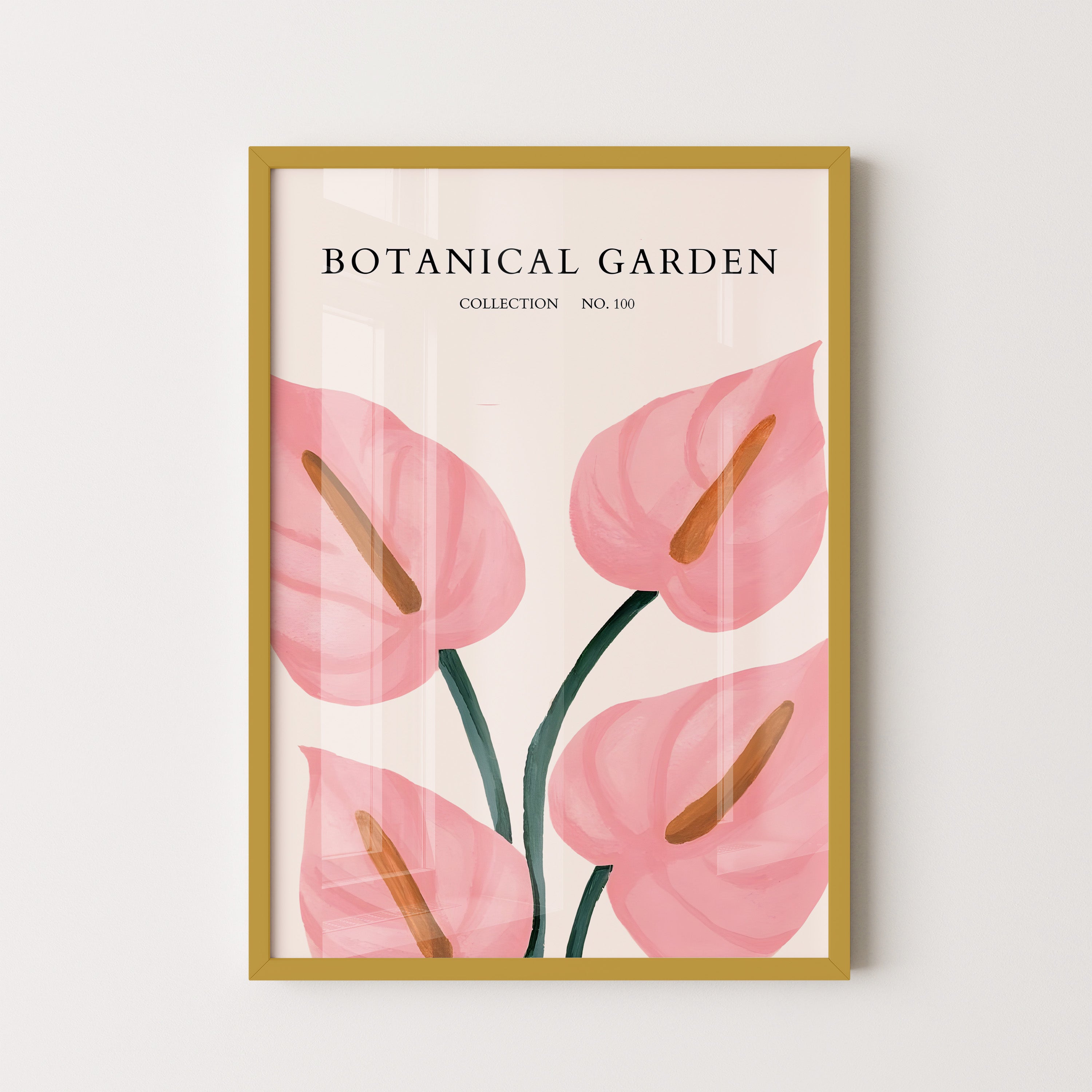 Blush Anthurium