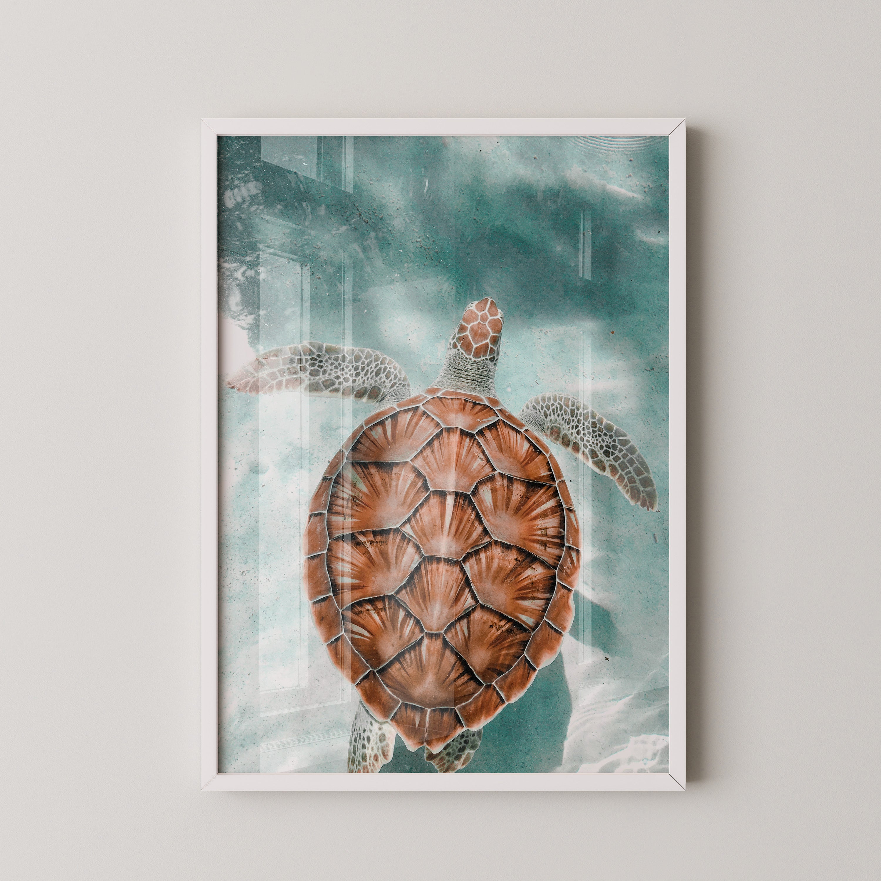 Sea Turtle in Turquoise Waters