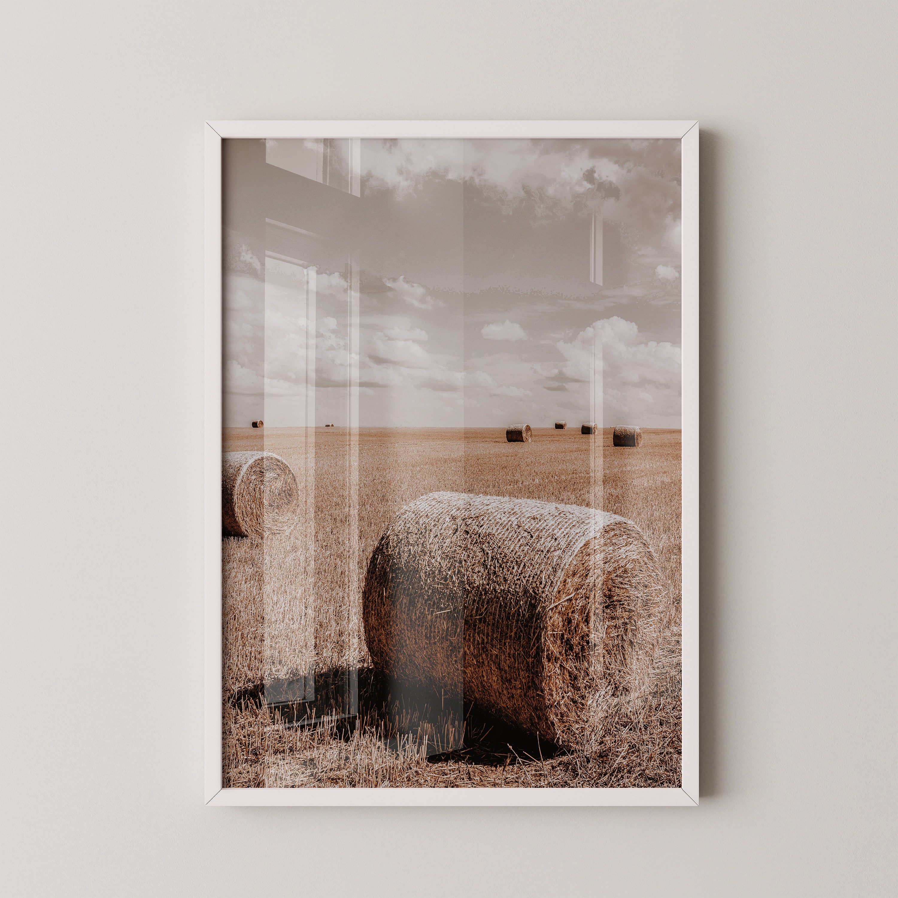 Golden Harvest Field