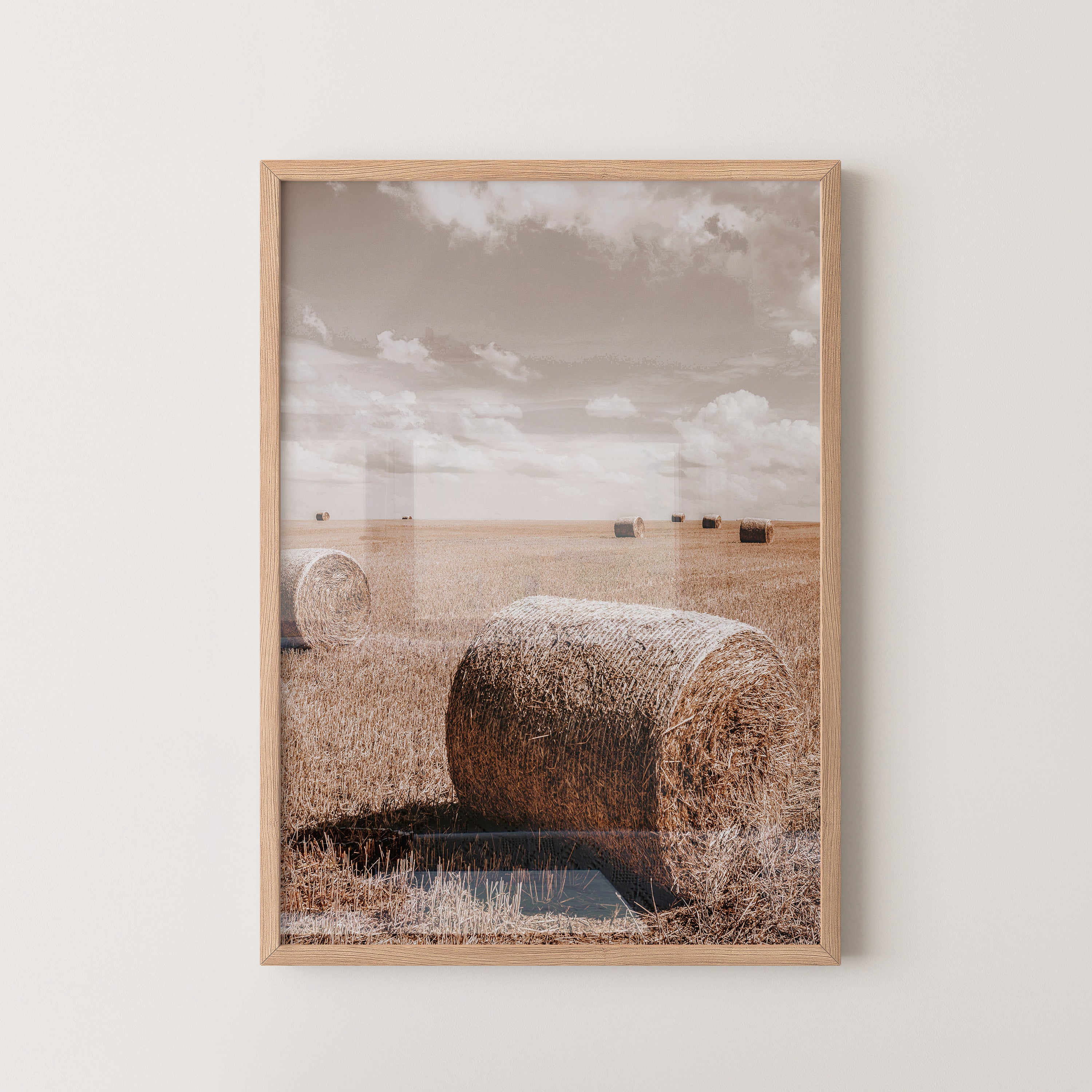 Golden Harvest Field