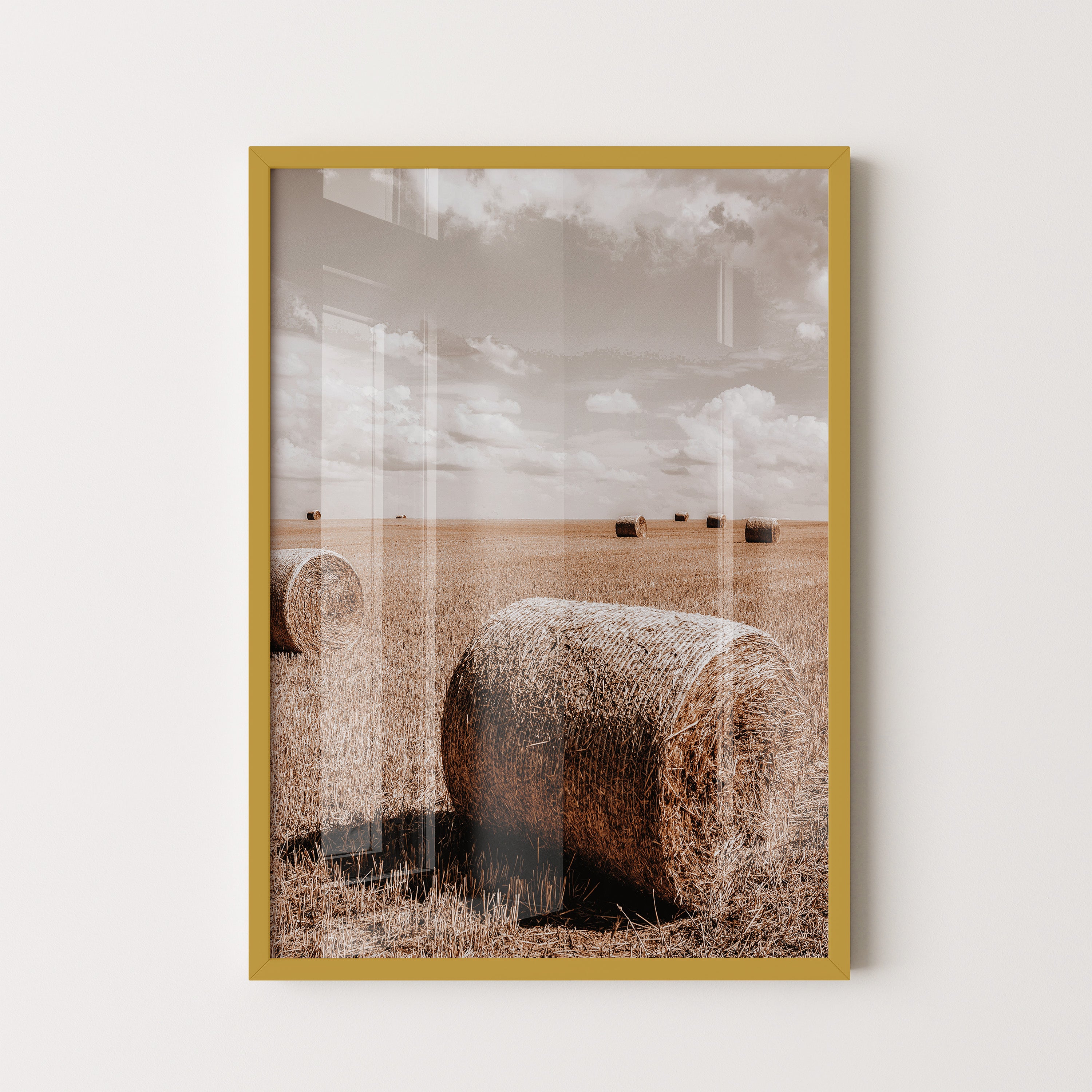 Golden Harvest Field