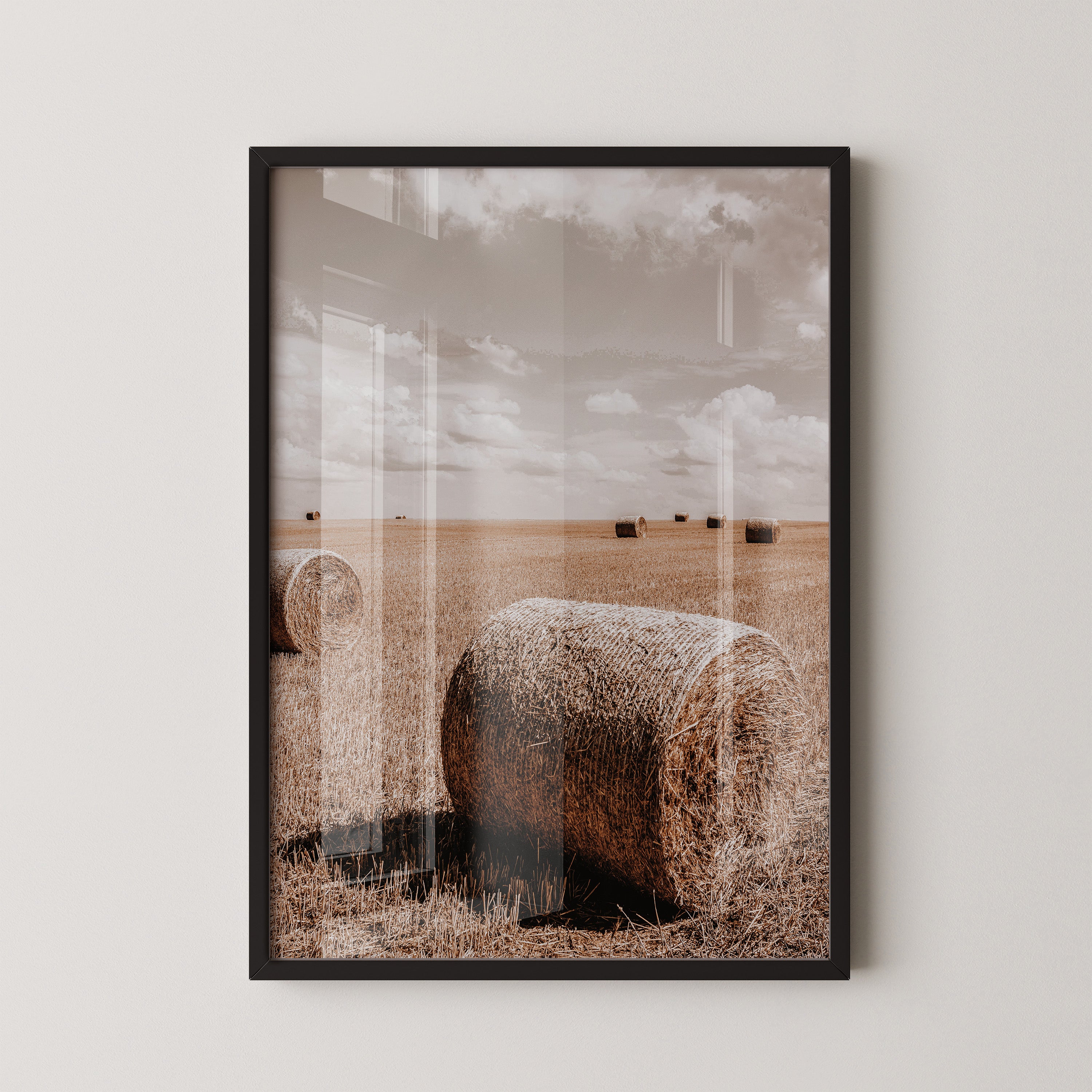 Golden Harvest Field