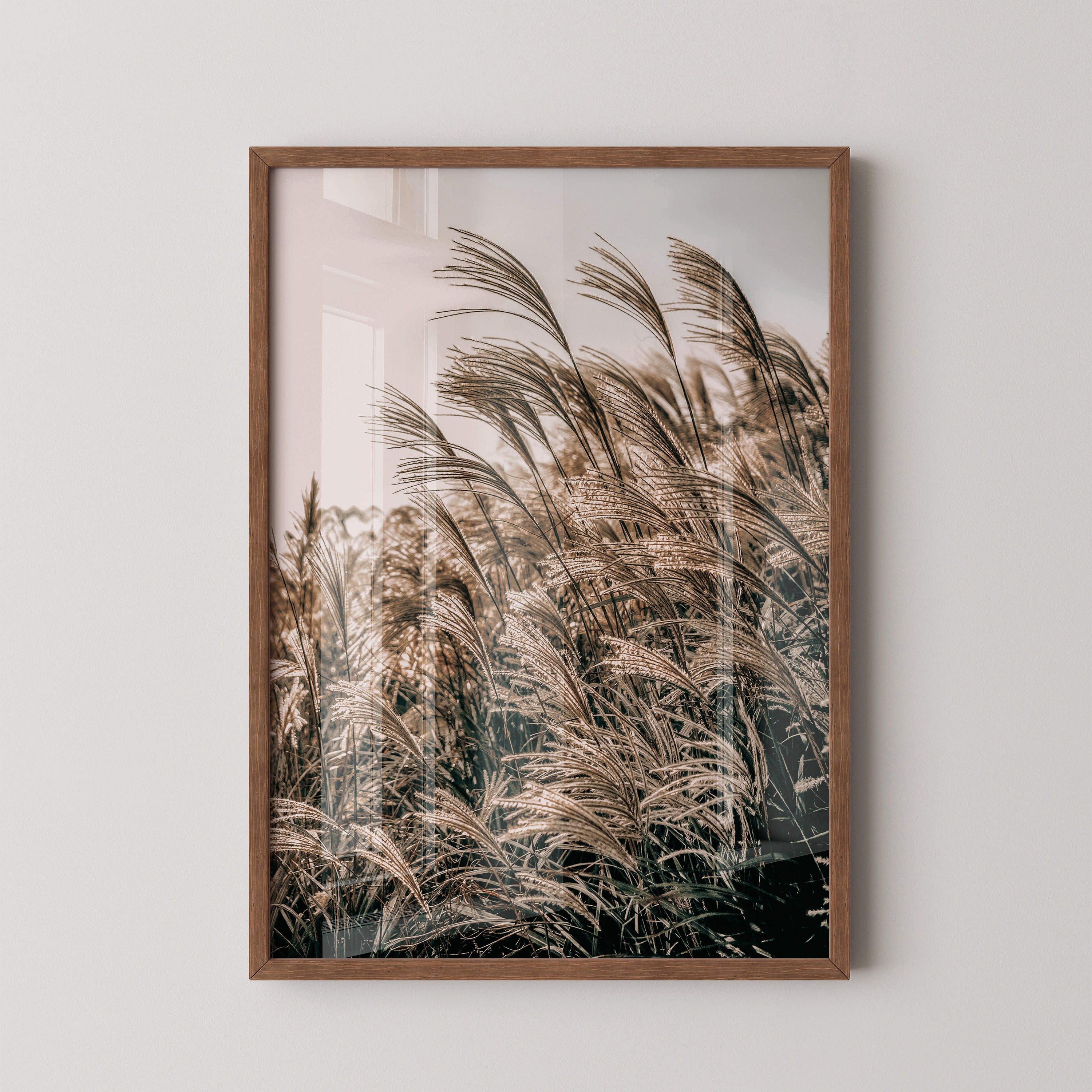 Golden Reed Grass – Nature Photography