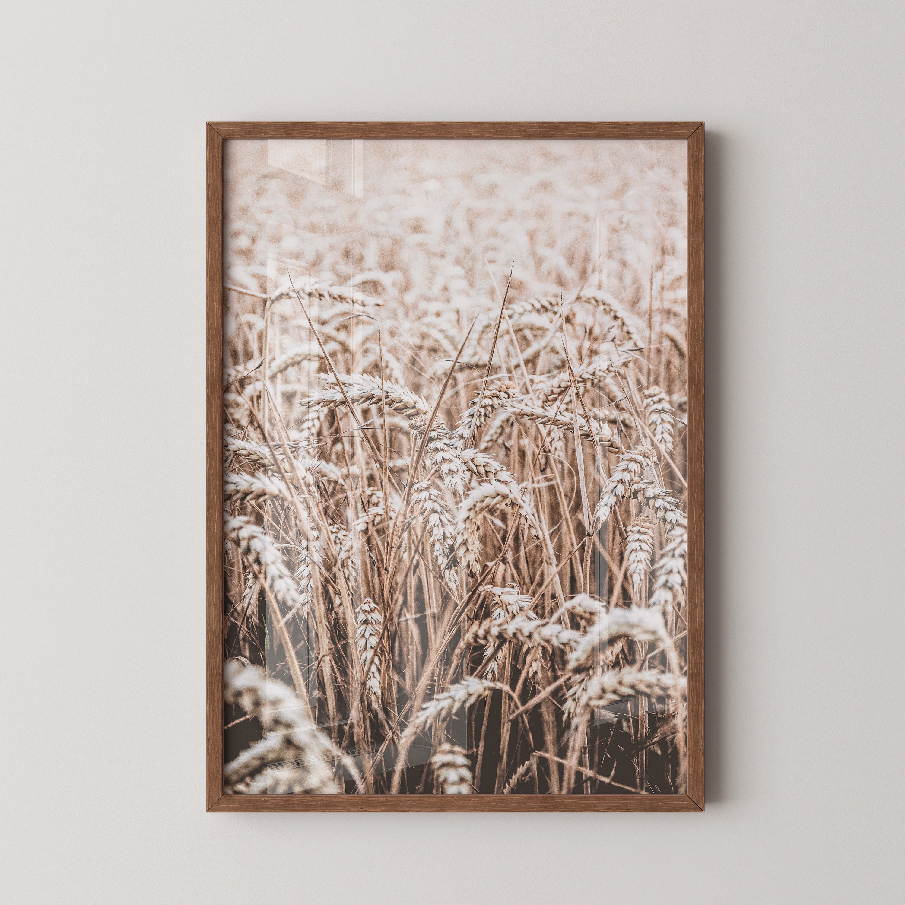 Golden Wheat Field – Soft Autumn Light