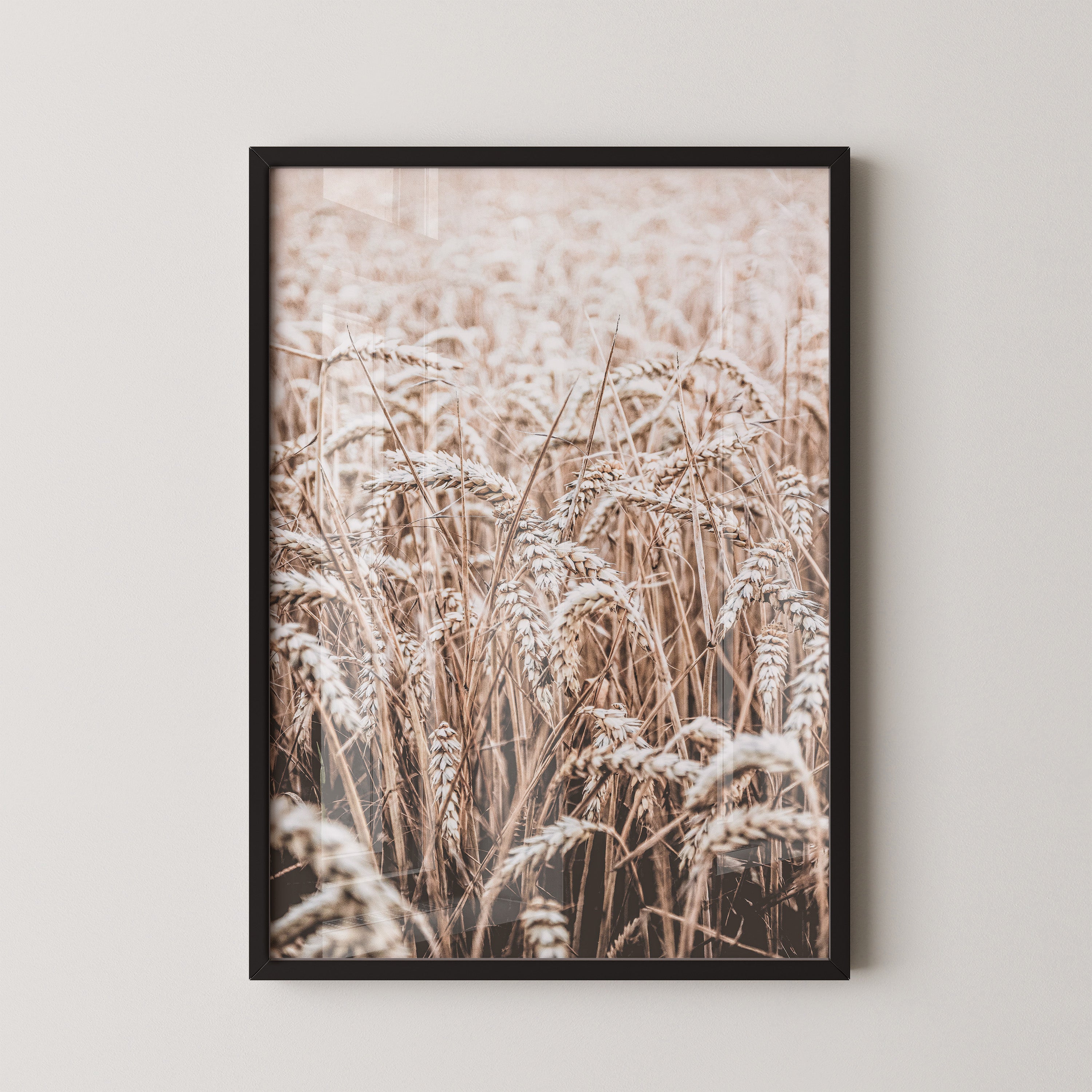Golden Wheat Field – Soft Autumn Light