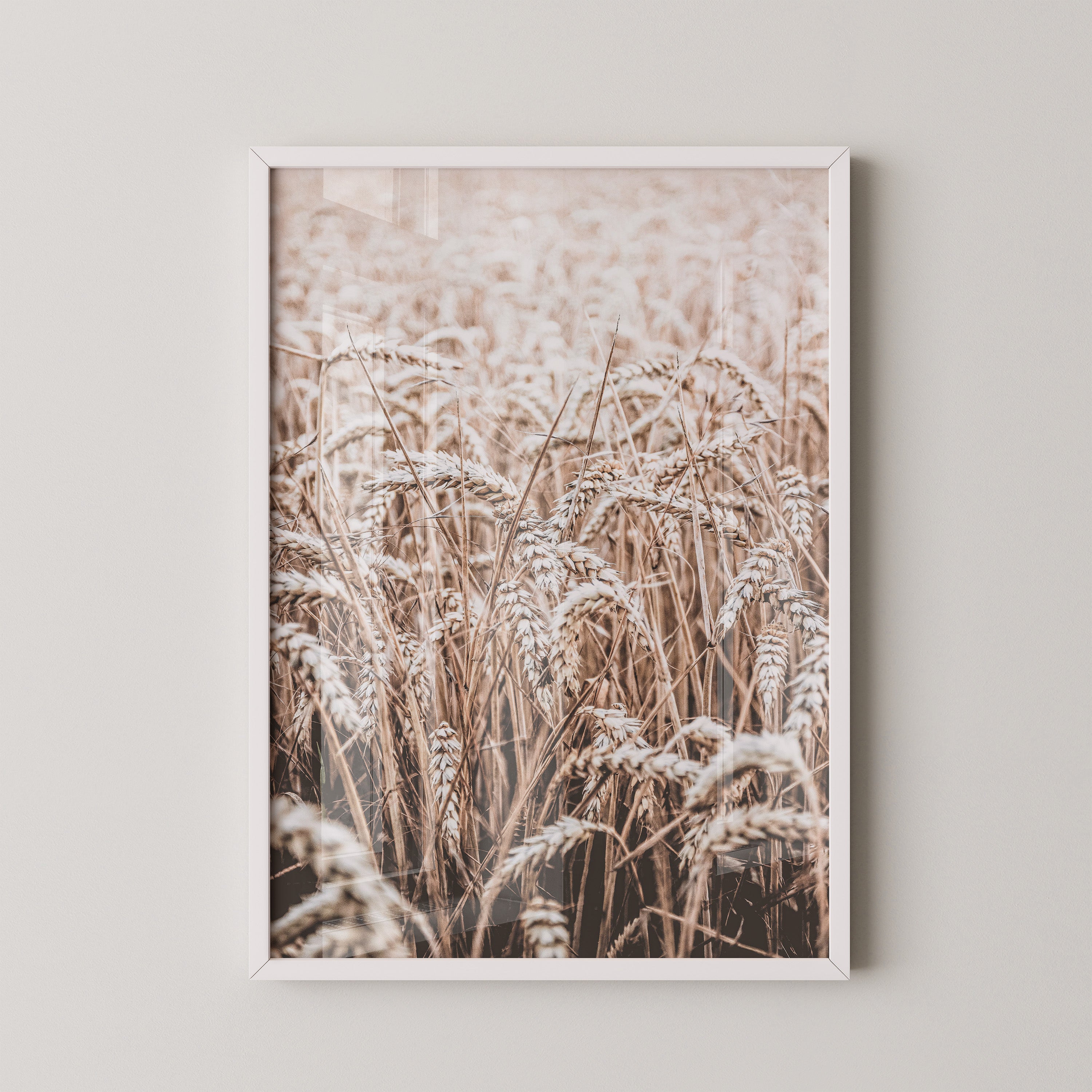 Golden Wheat Field – Soft Autumn Light