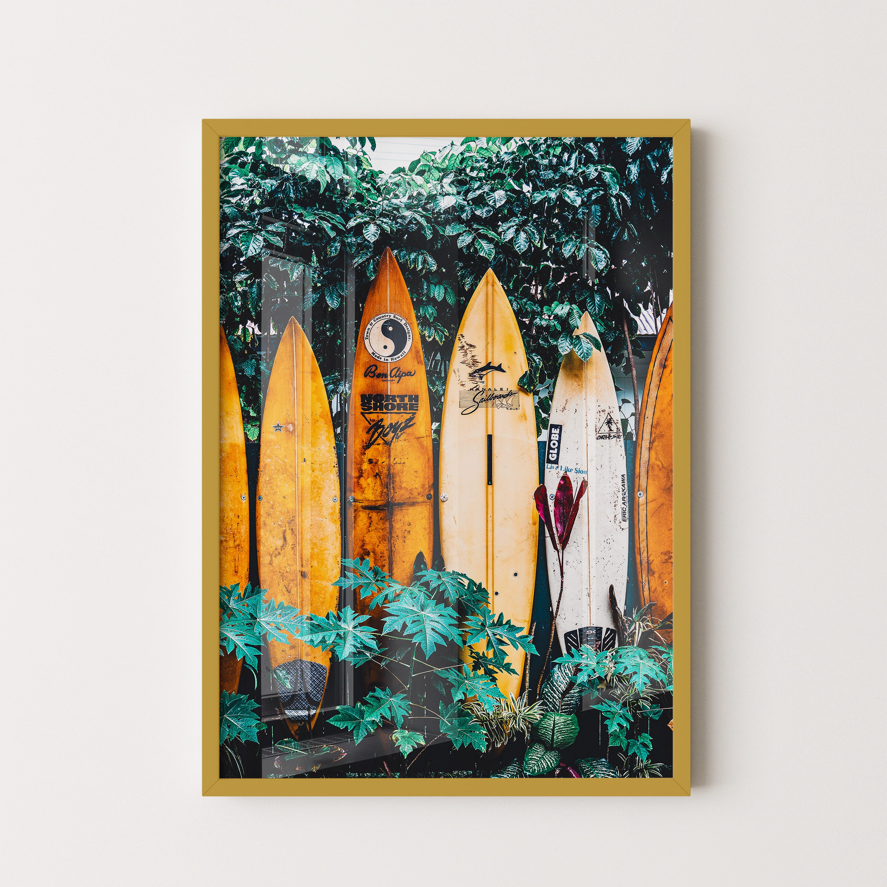 Tropical Surfboard Collection