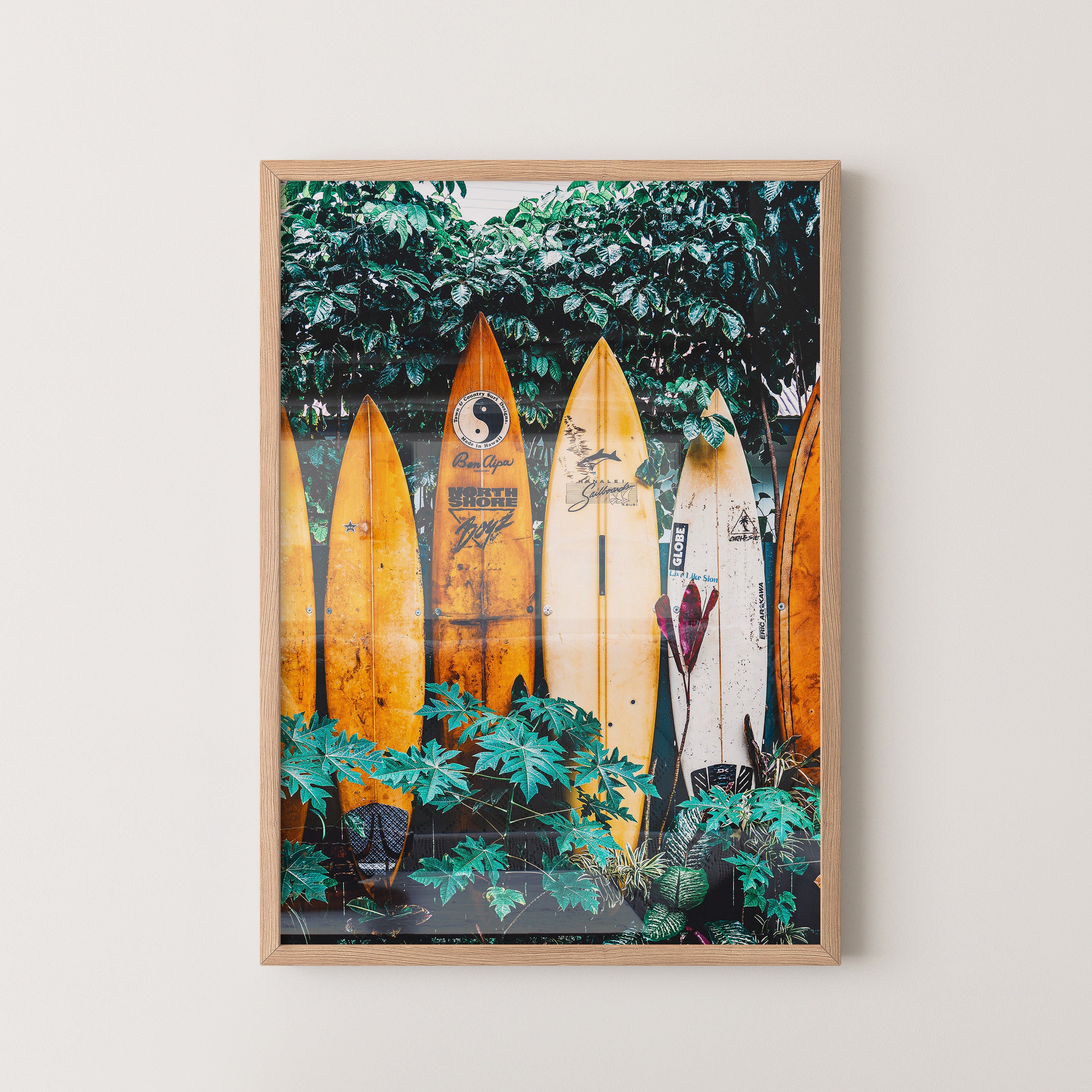 Tropical Surfboard Collection